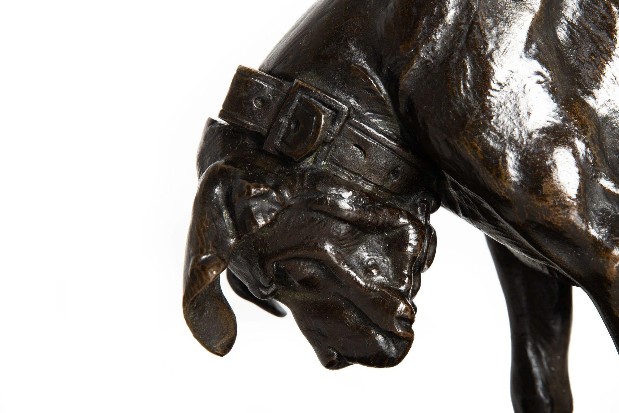 Sculpture en bronze du 19e siècle représentant un chien et une tortue, par Alfred Jacquemart en vente 2