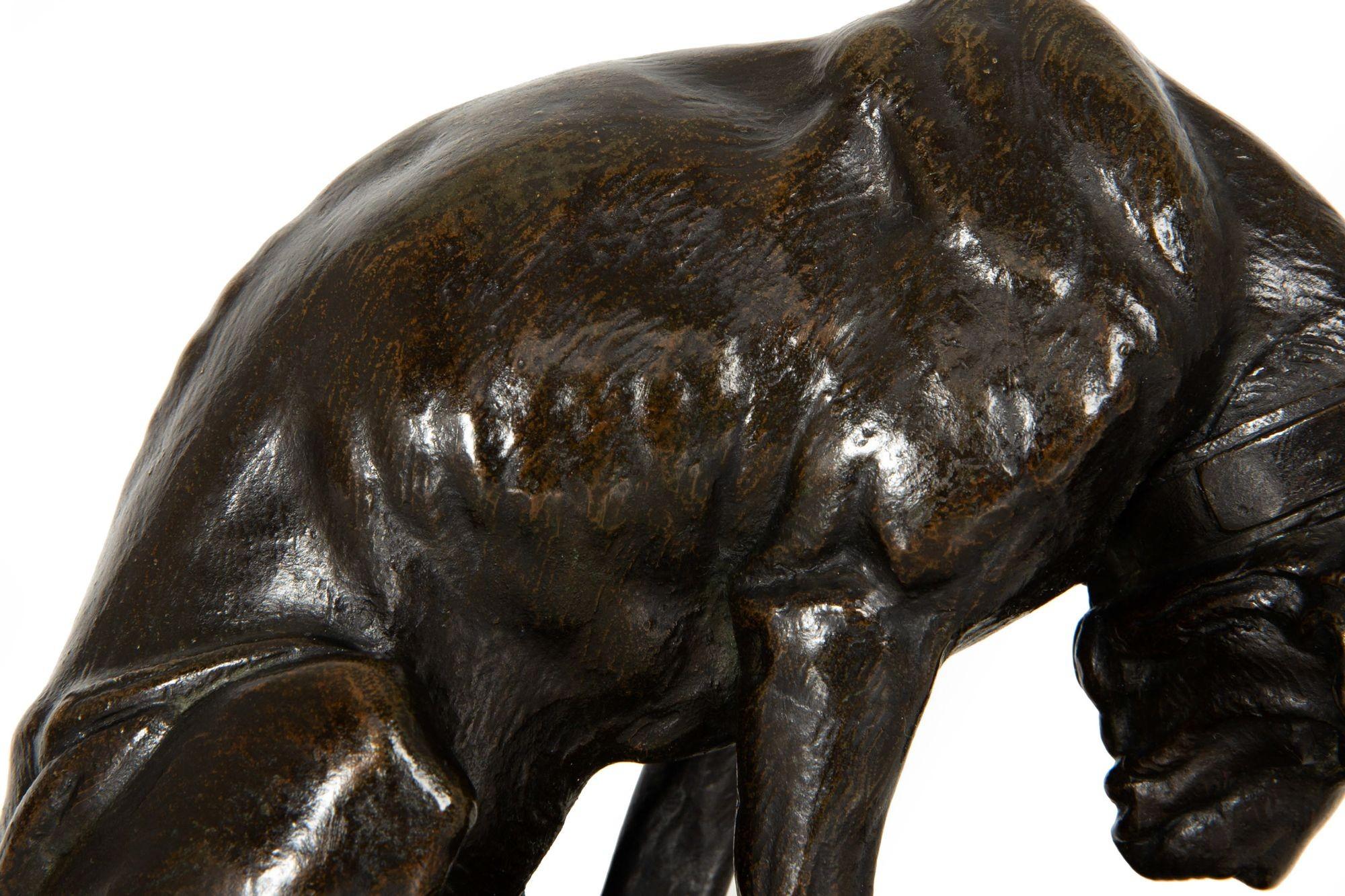 Sculpture en bronze du 19e siècle représentant un chien et une tortue, par Alfred Jacquemart en vente 3