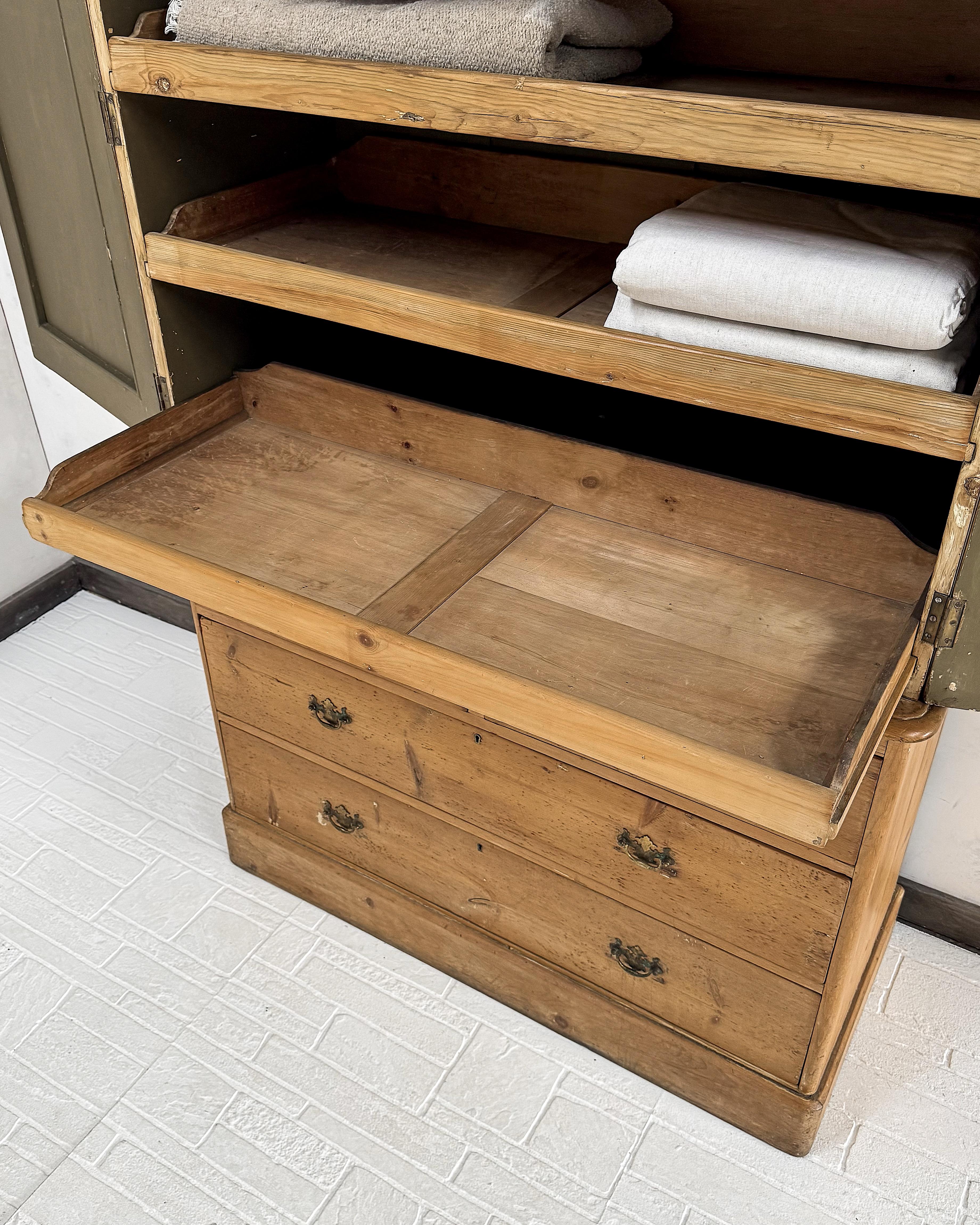 19th Century Housekeeper's Cupboard with Arched Panel Doors 11