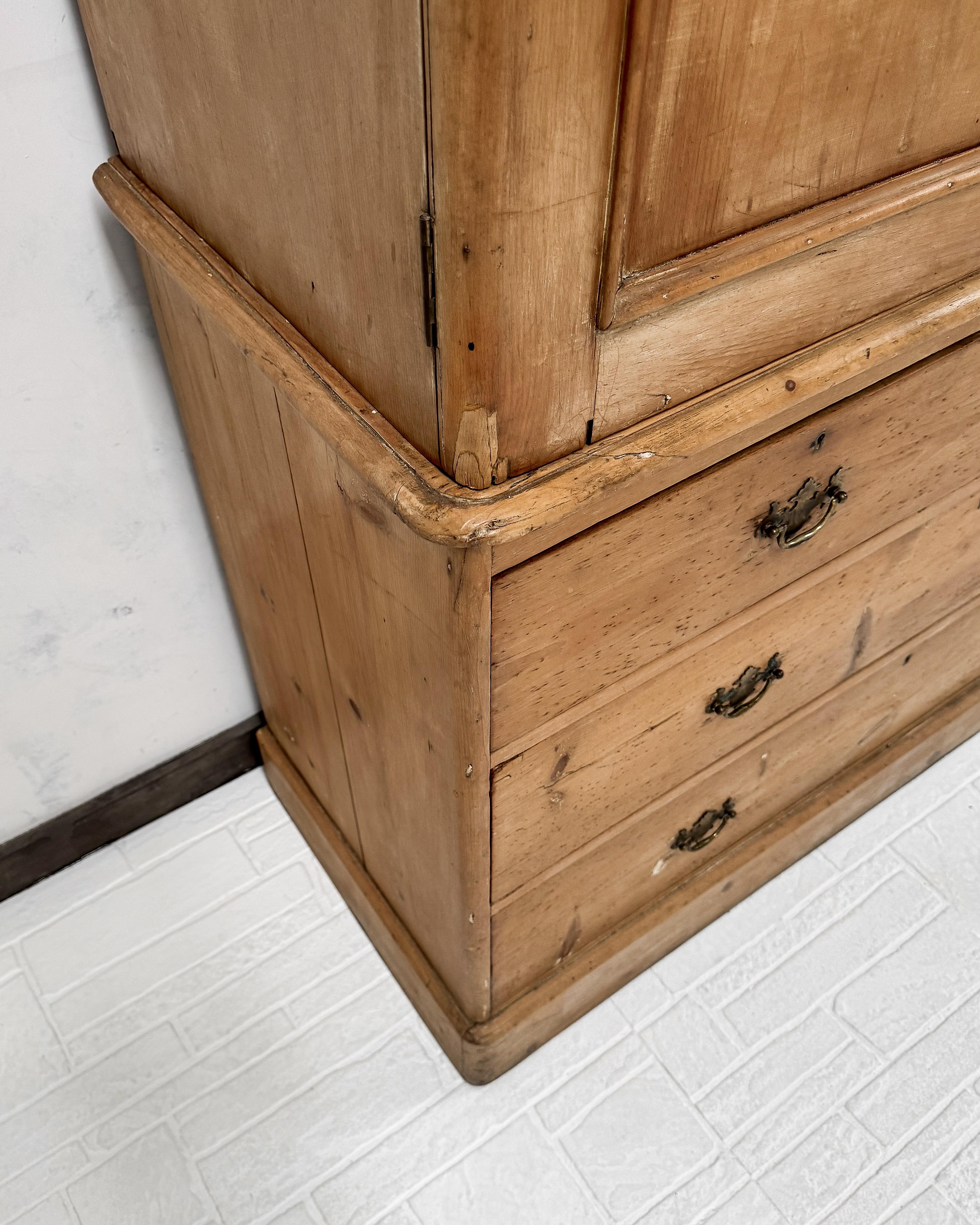 19th Century Housekeeper's Cupboard with Arched Panel Doors 1