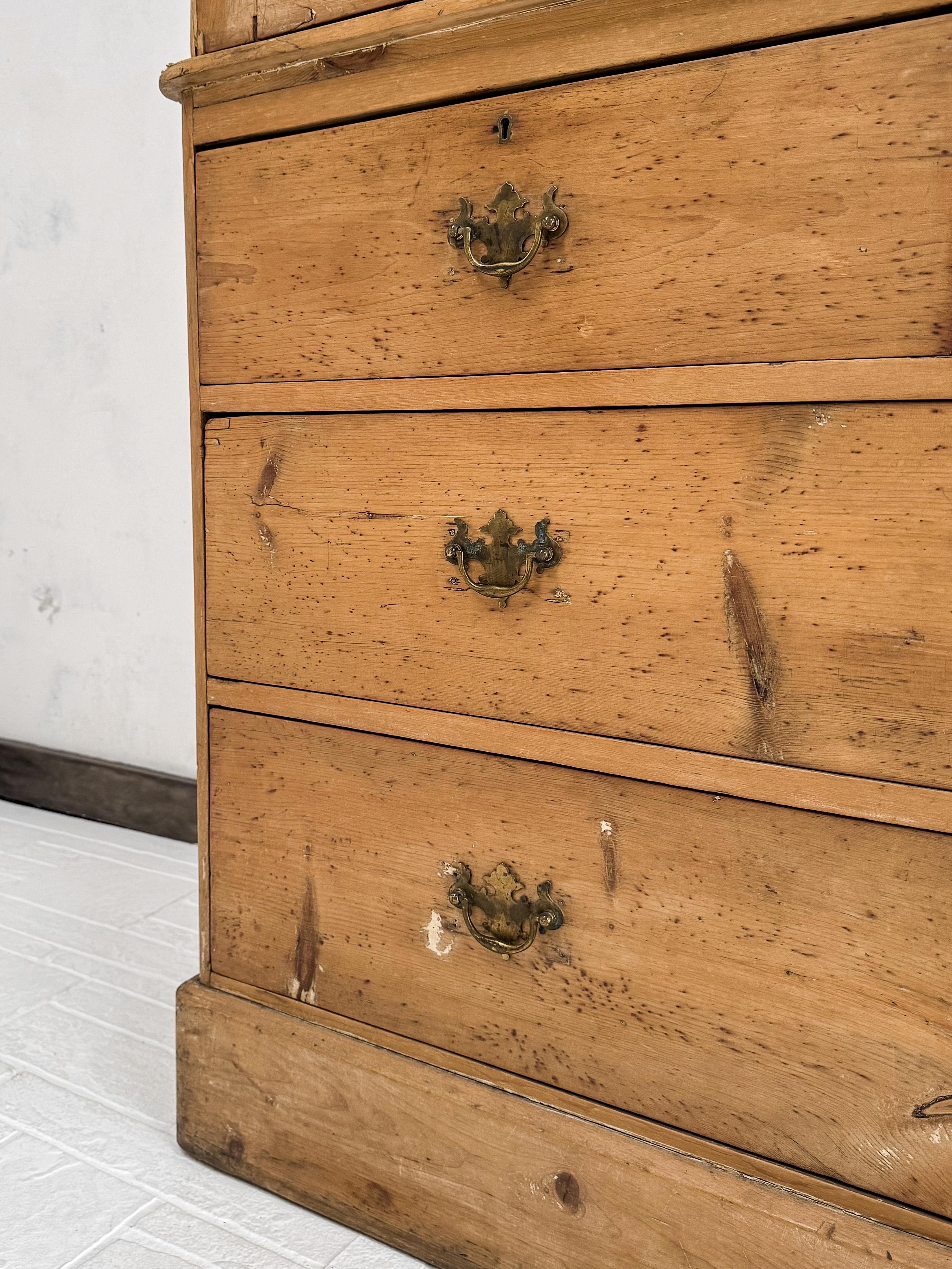 19th Century Housekeeper's Cupboard with Arched Panel Doors 3
