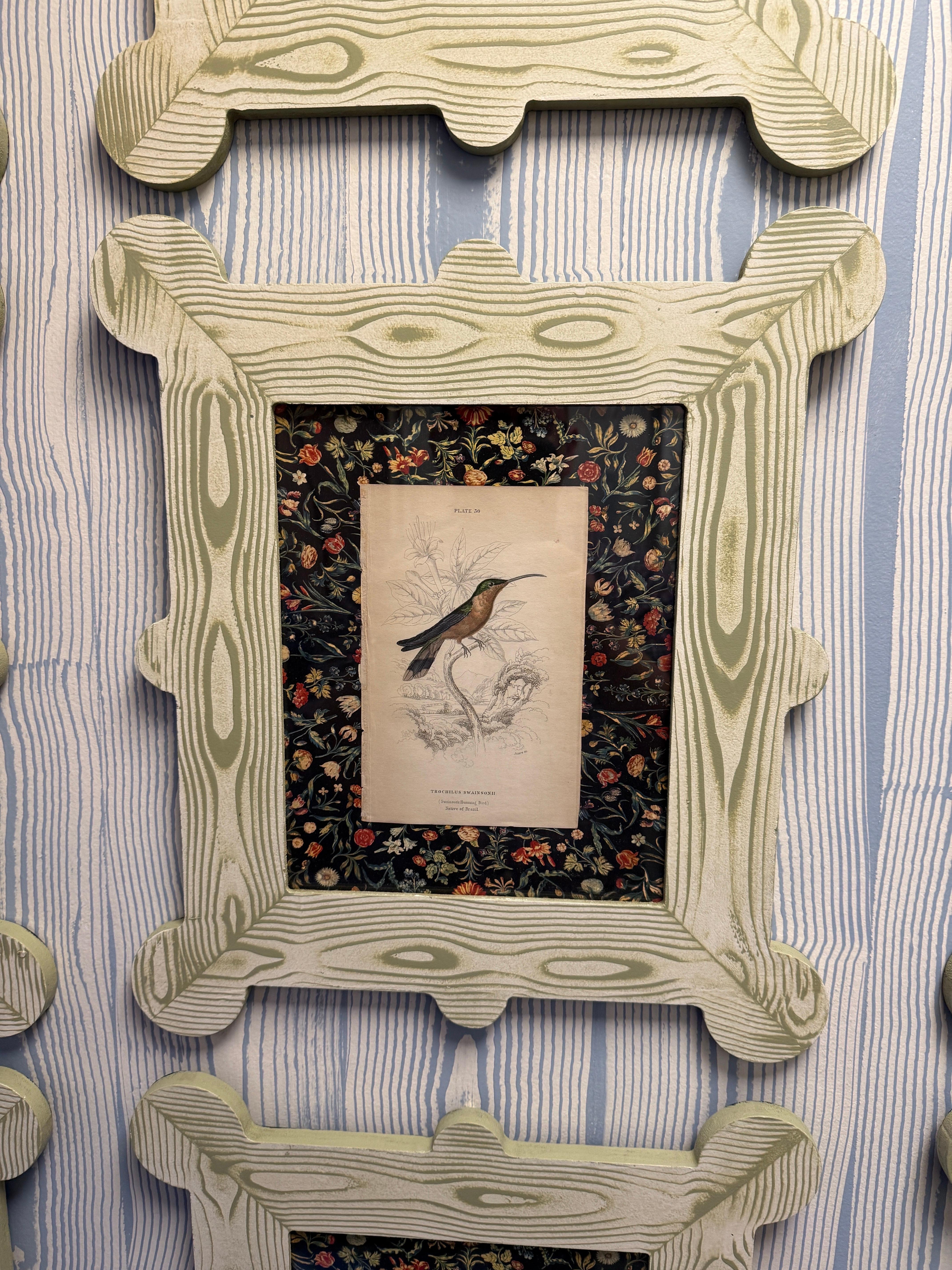 19th century hummingbird and nectarivore engravings in custom faux bois frames For Sale 5