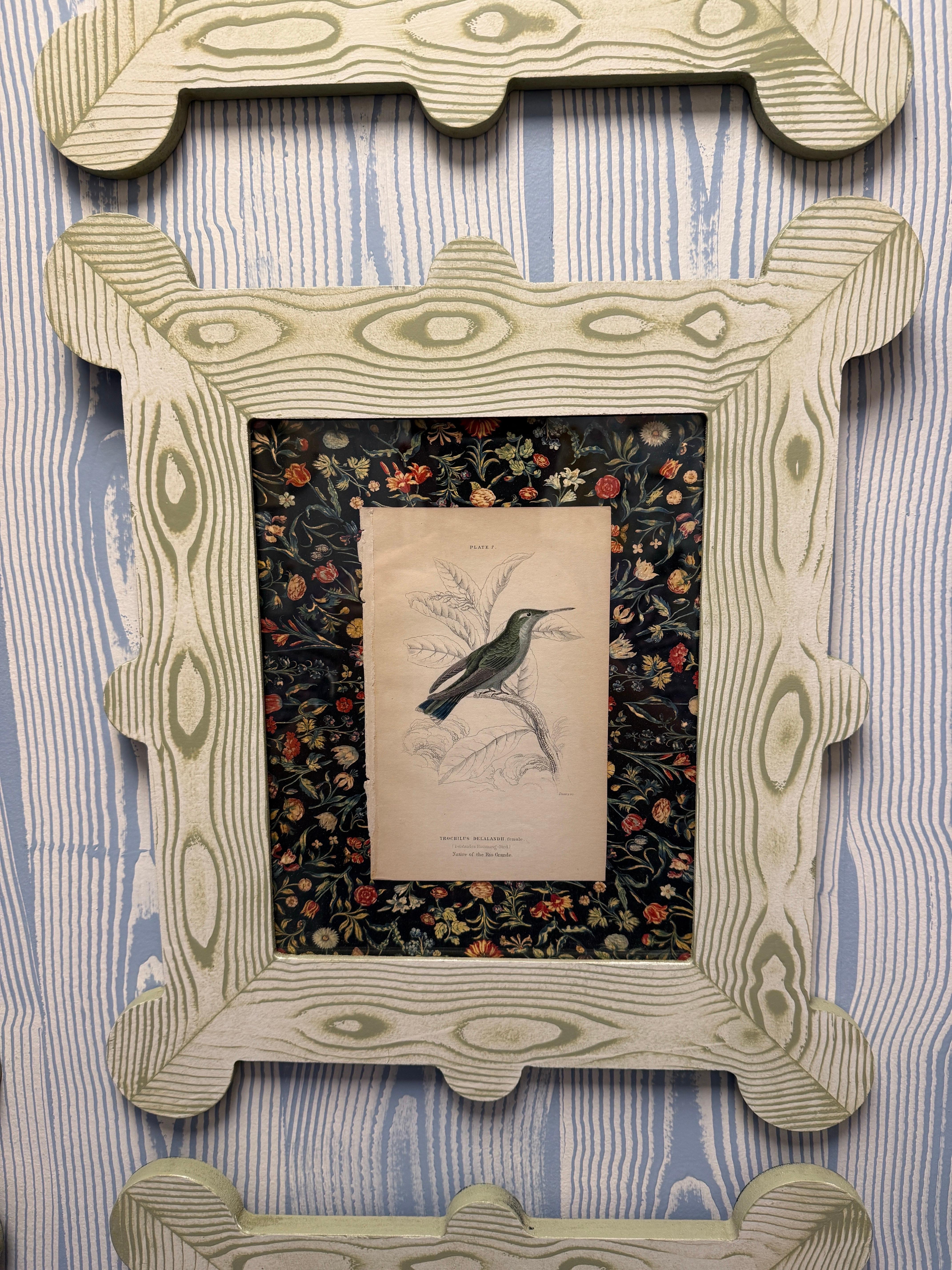 19th century hummingbird and nectarivore engravings in custom faux bois frames For Sale 6