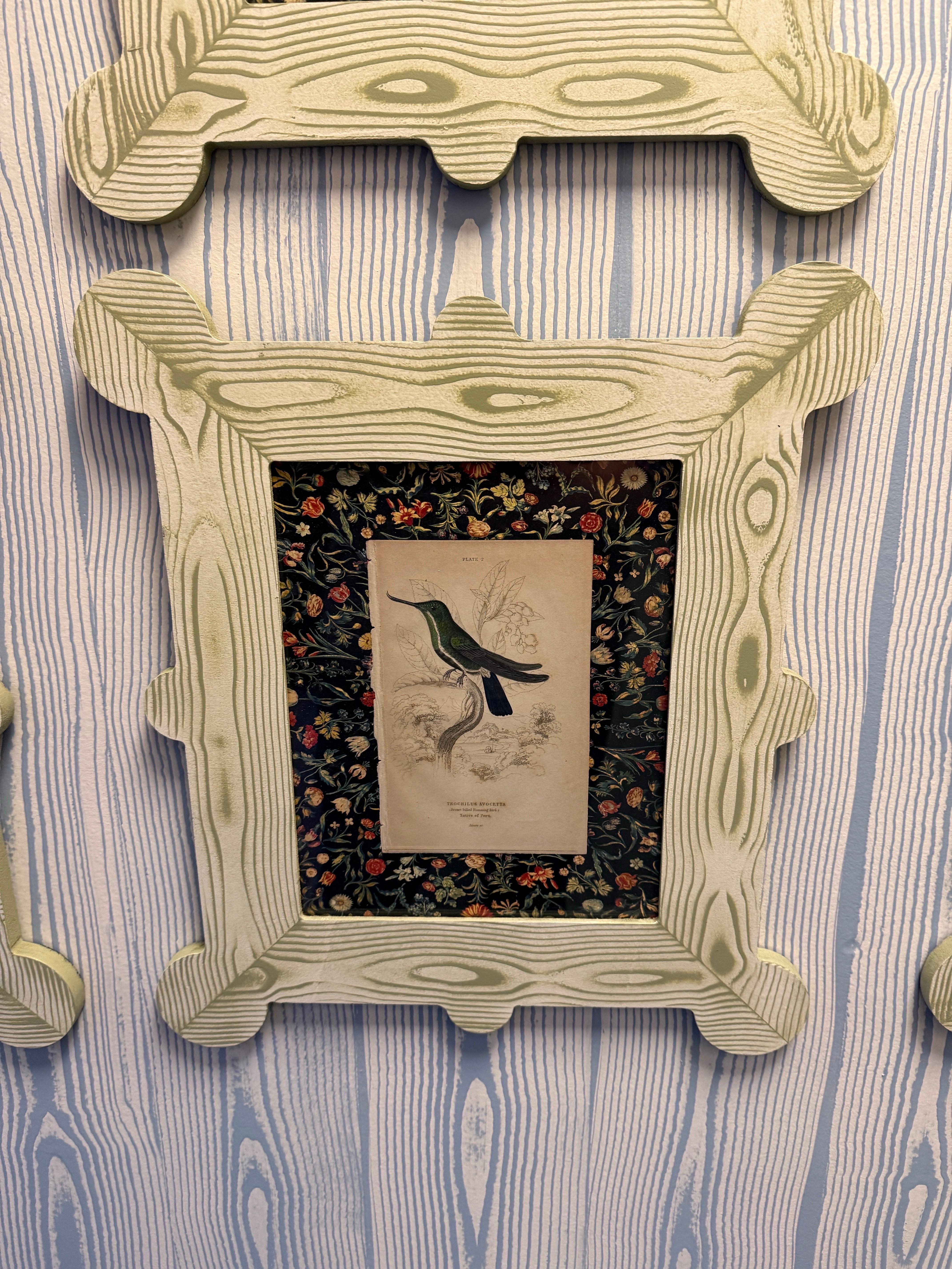 19th century hummingbird and nectarivore engravings in custom faux bois frames For Sale 7