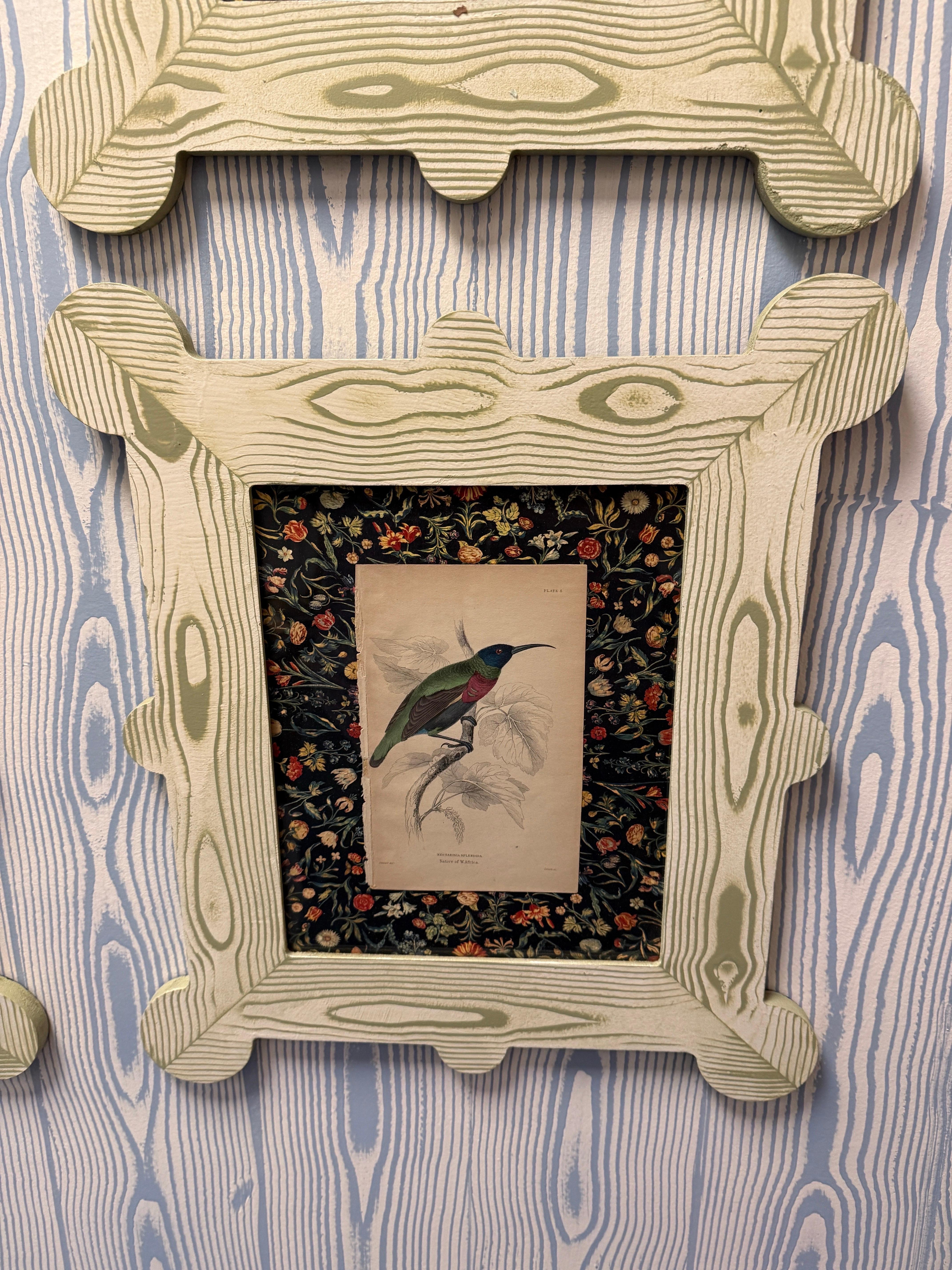 19th century hummingbird and nectarivore engravings in custom faux bois frames For Sale 8