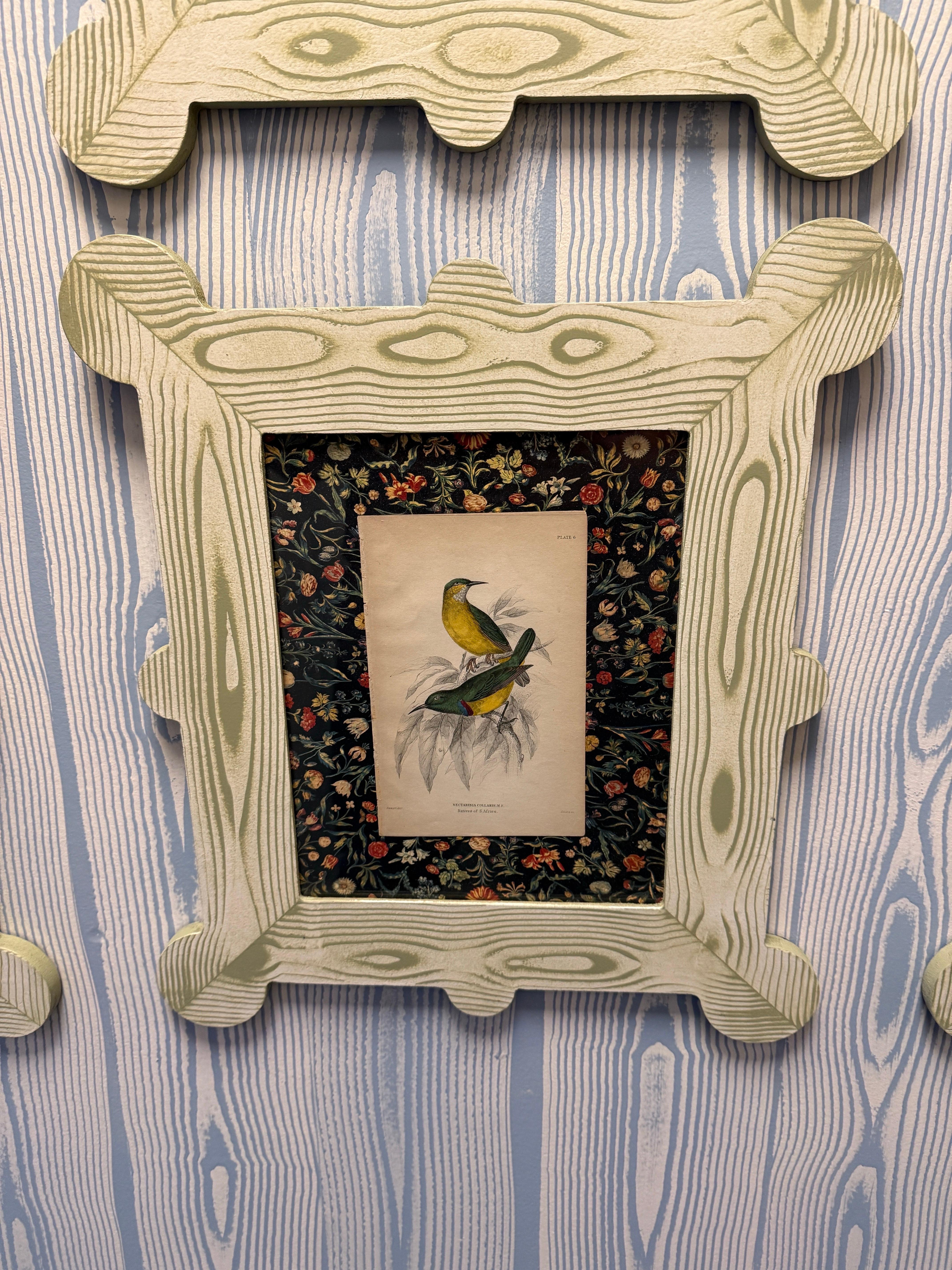 19th century hummingbird and nectarivore engravings in custom faux bois frames For Sale 9