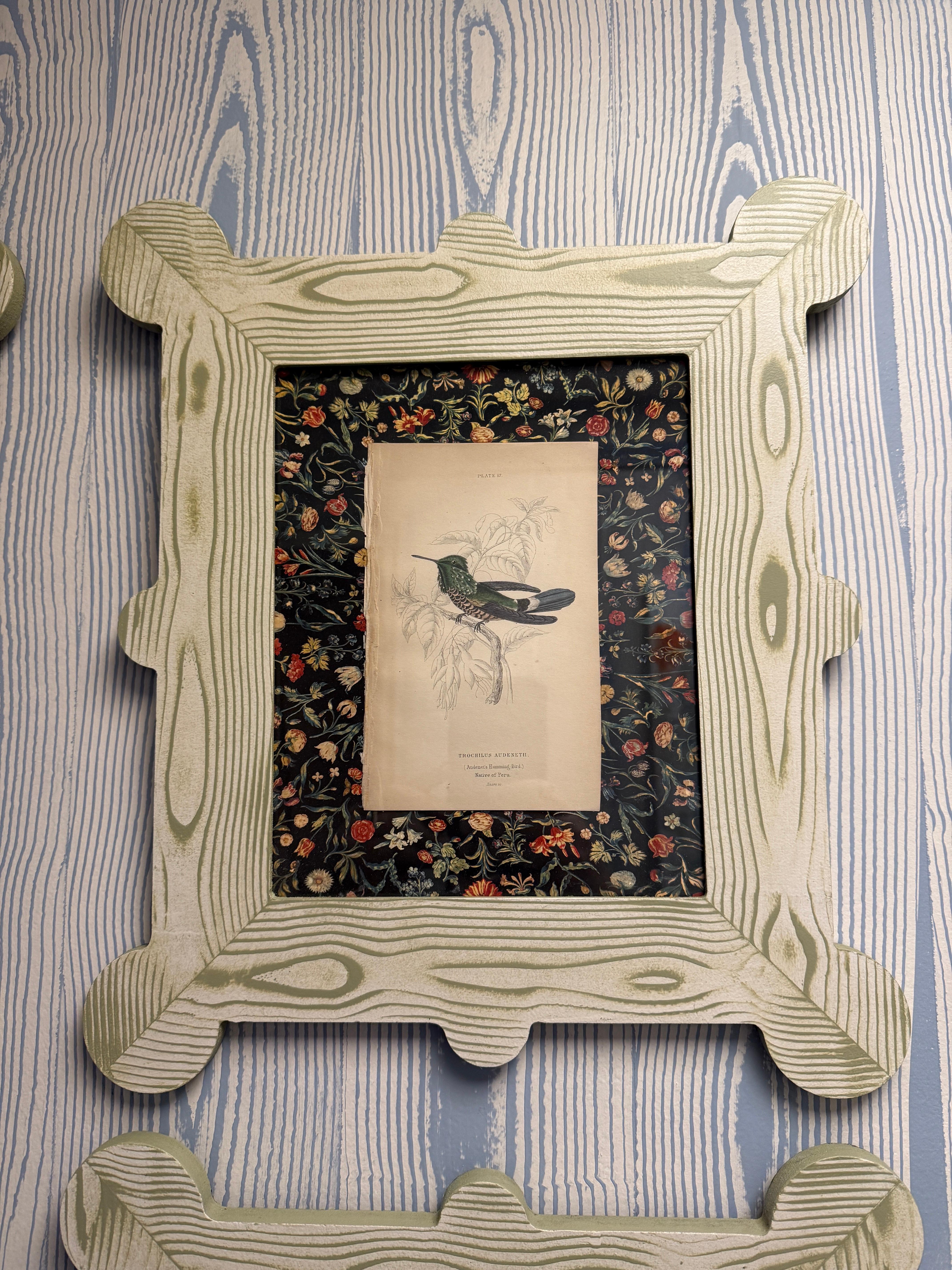 19th century hummingbird and nectarivore engravings in custom faux bois frames In Good Condition For Sale In Richmond, VA