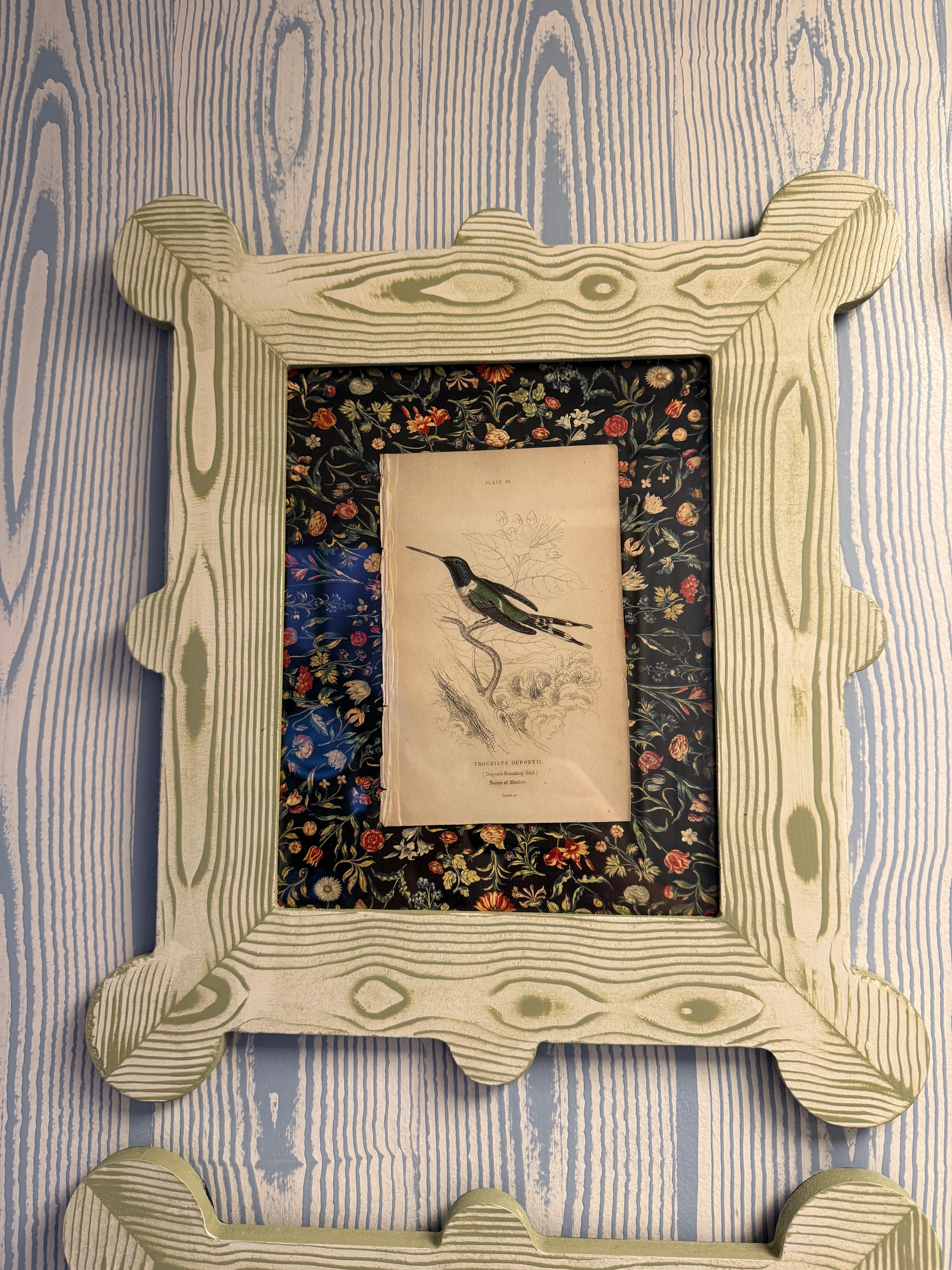 19th Century 19th century hummingbird and nectarivore engravings in custom faux bois frames For Sale
