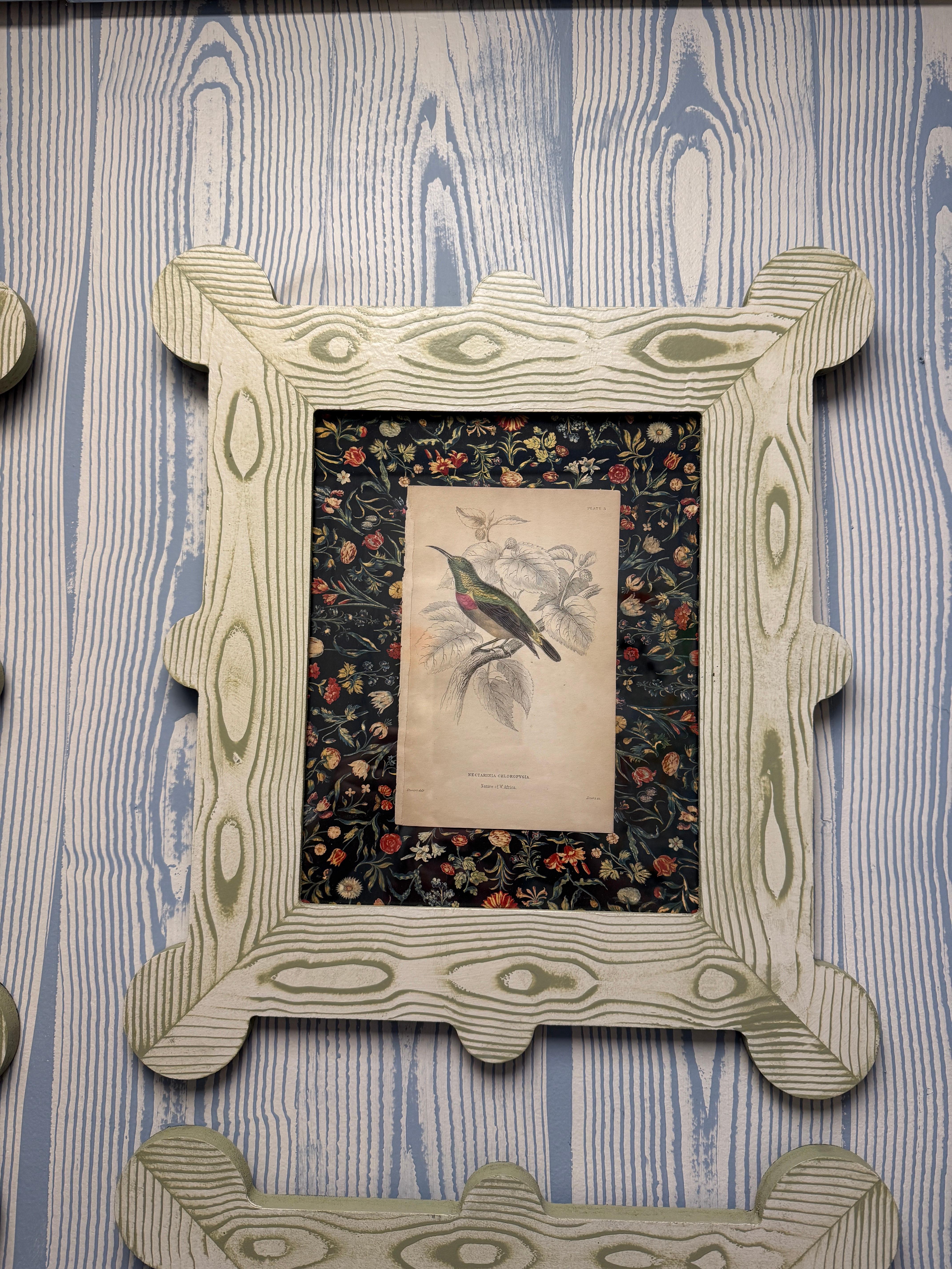 Wood 19th century hummingbird and nectarivore engravings in custom faux bois frames For Sale