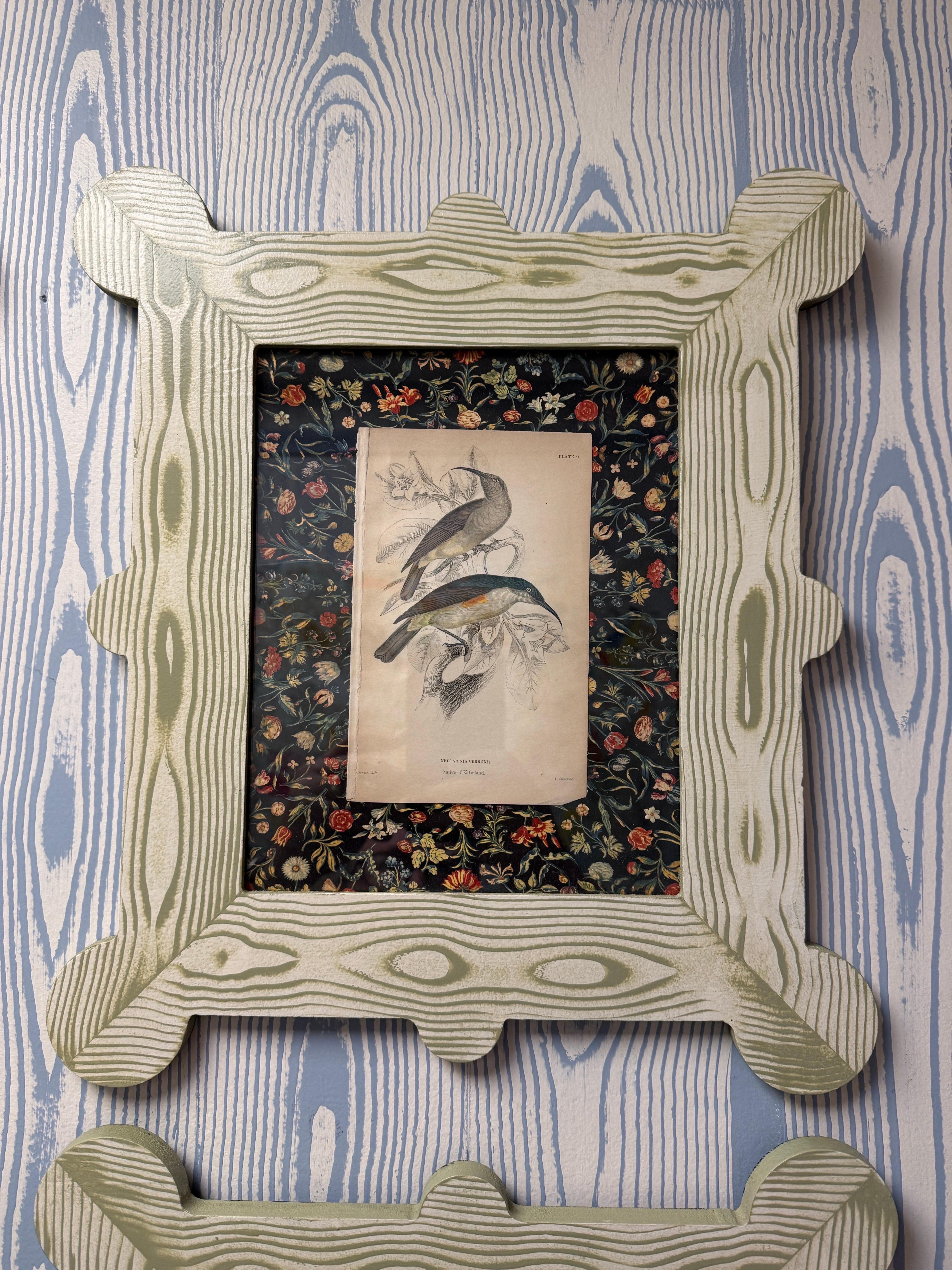 19th century hummingbird and nectarivore engravings in custom faux bois frames For Sale 1