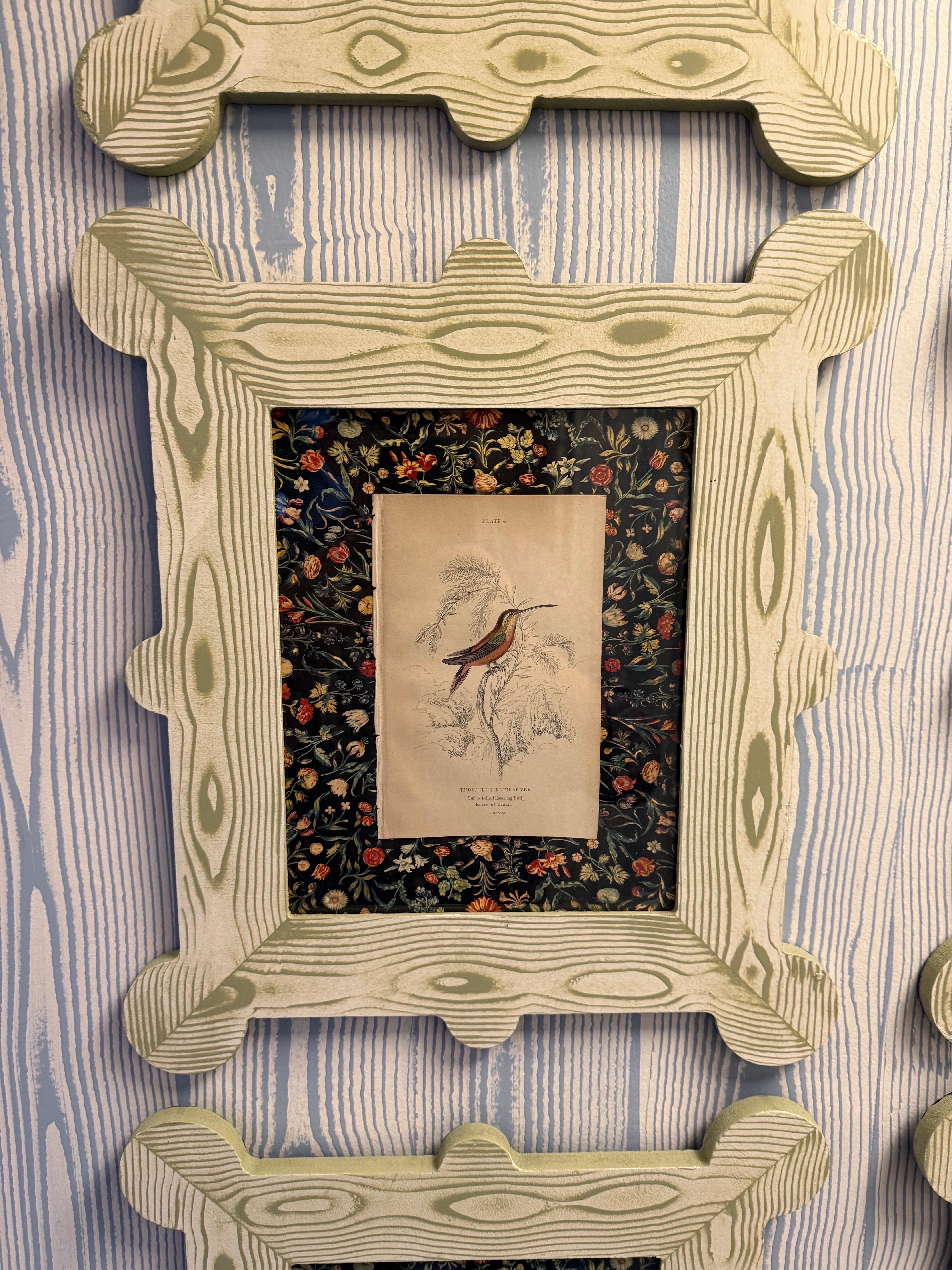 19th century hummingbird and nectarivore engravings in custom faux bois frames For Sale 2