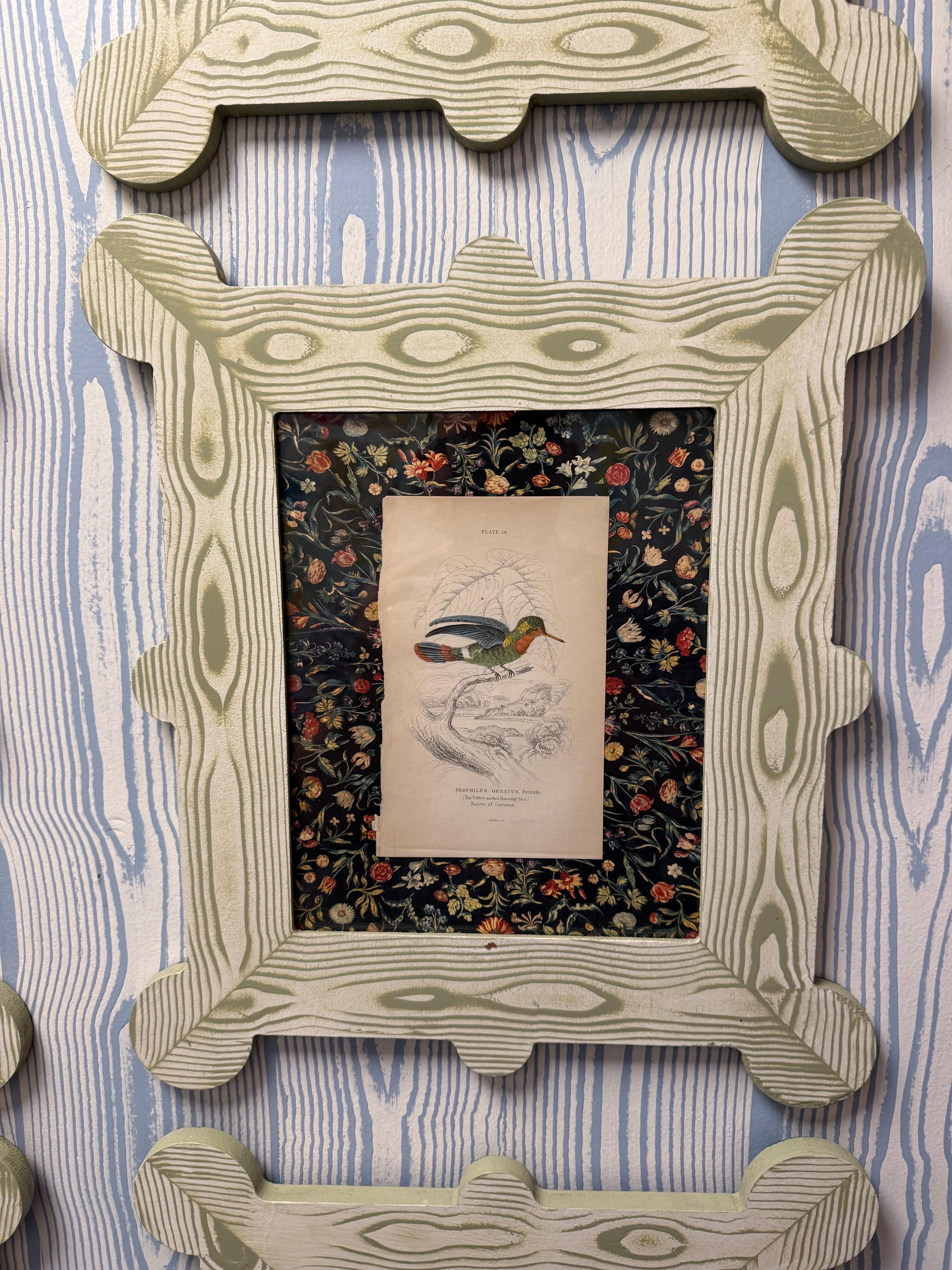 19th century hummingbird and nectarivore engravings in custom faux bois frames For Sale 3