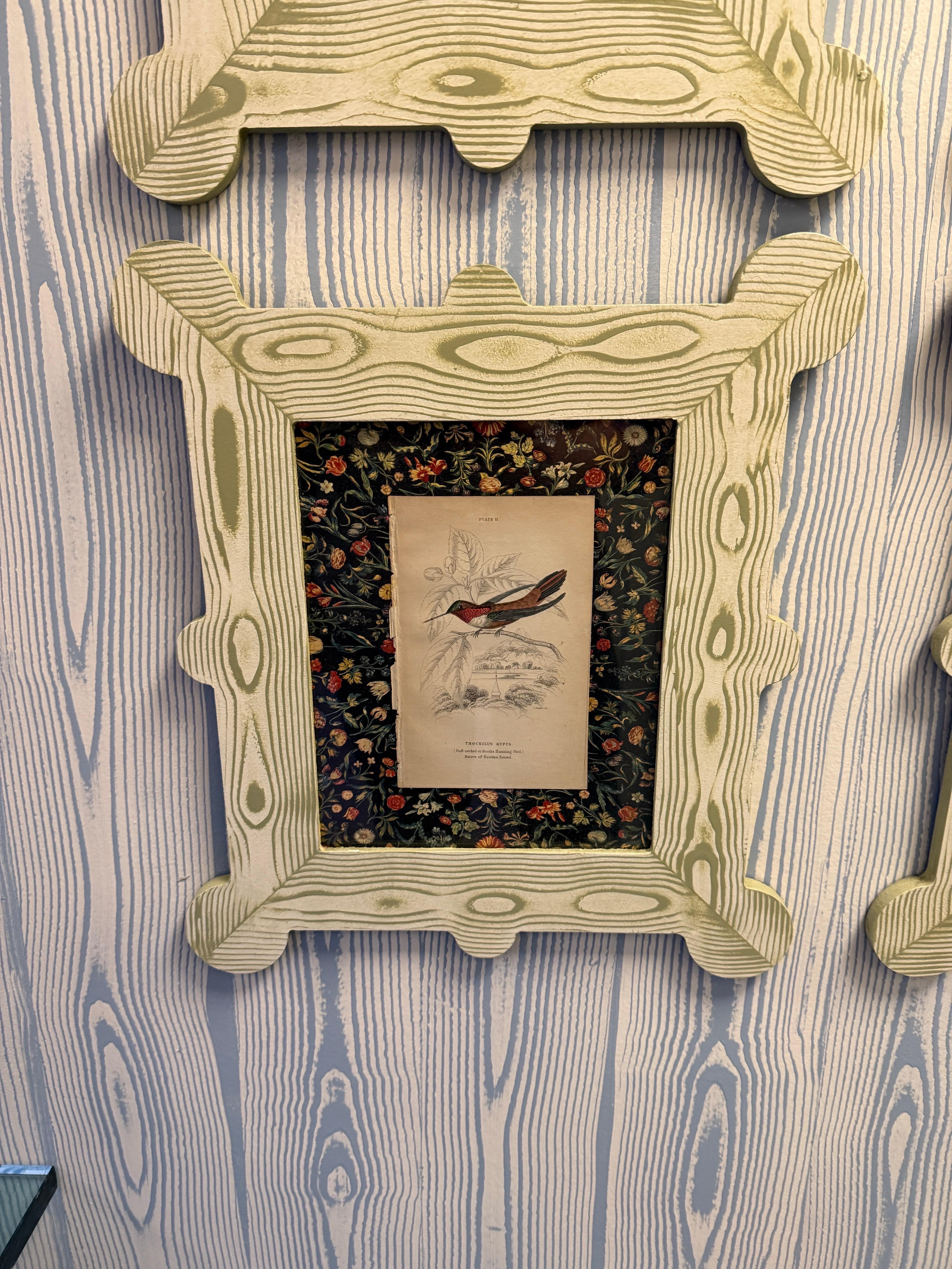 19th century hummingbird and nectarivore engravings in custom faux bois frames For Sale 4