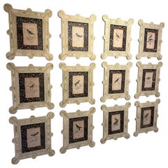 Gravuren von Kolibris und Nektarfressern aus dem 19. Jahrhundert in maßgefertigten Faux-Bois-Rahmen