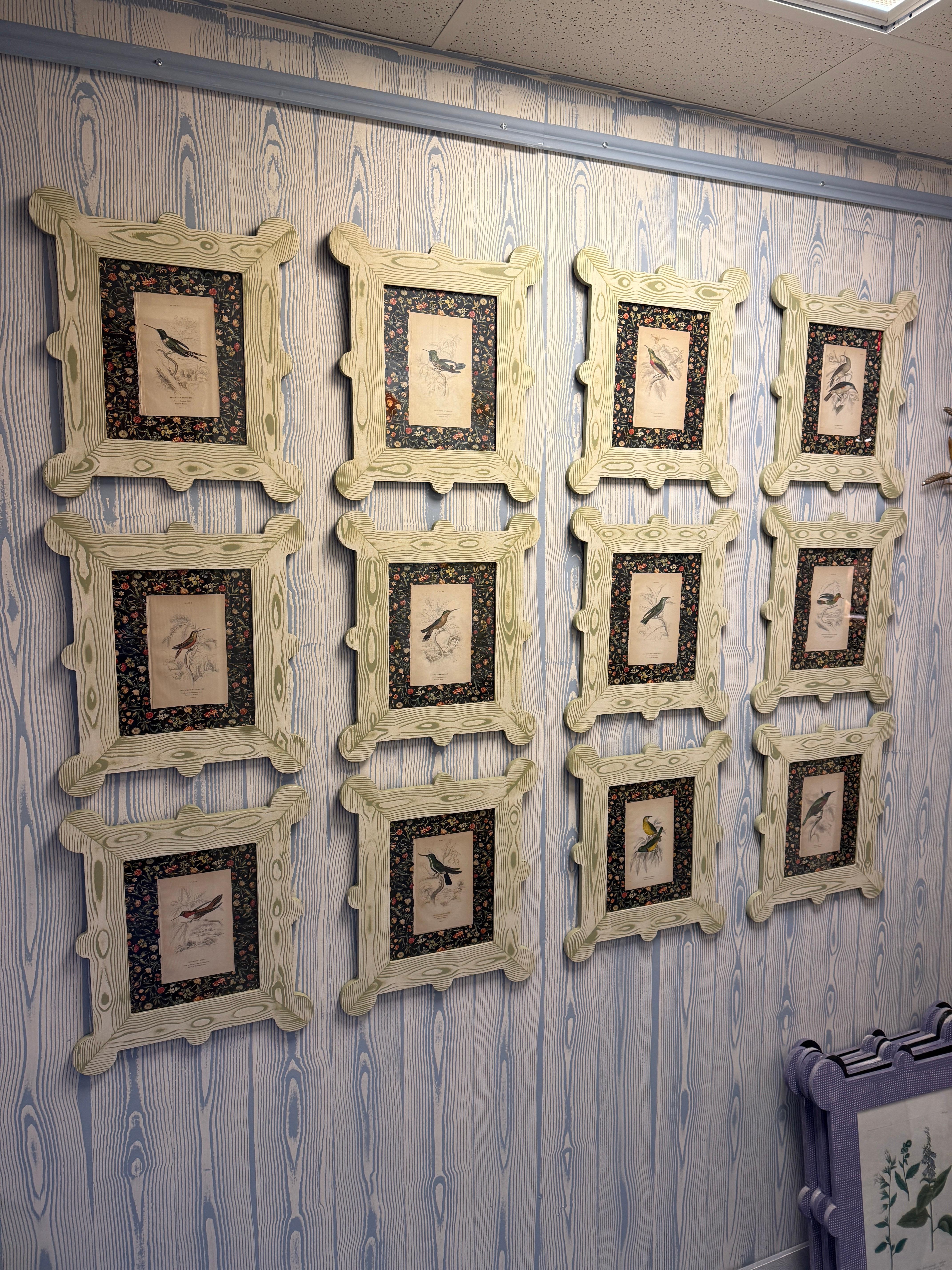 19th century hummingbird and nectarivore engravings in custom faux bois frames For Sale