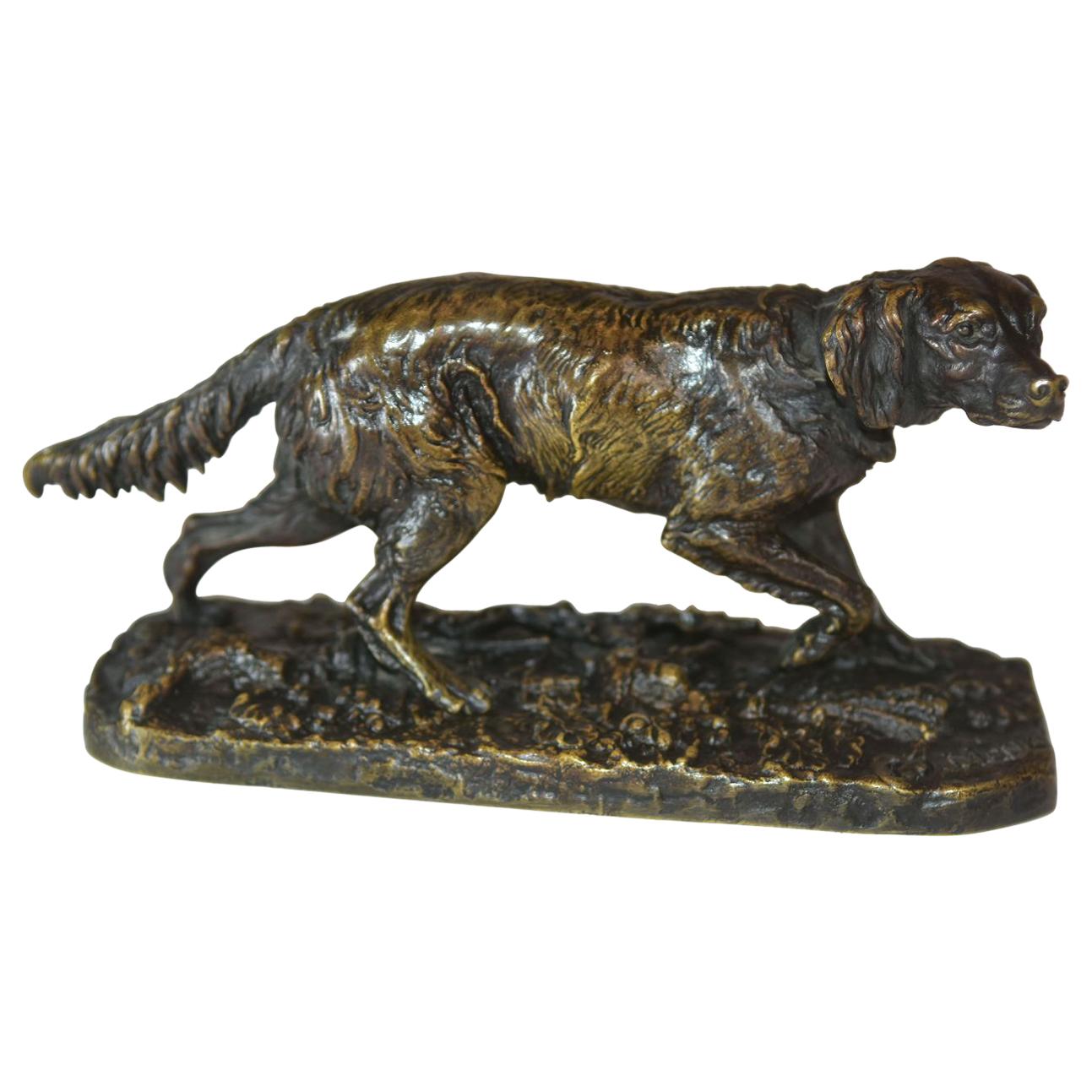 chien de chasse du 19e siècle par P.J. Probablement Leads Spaniel