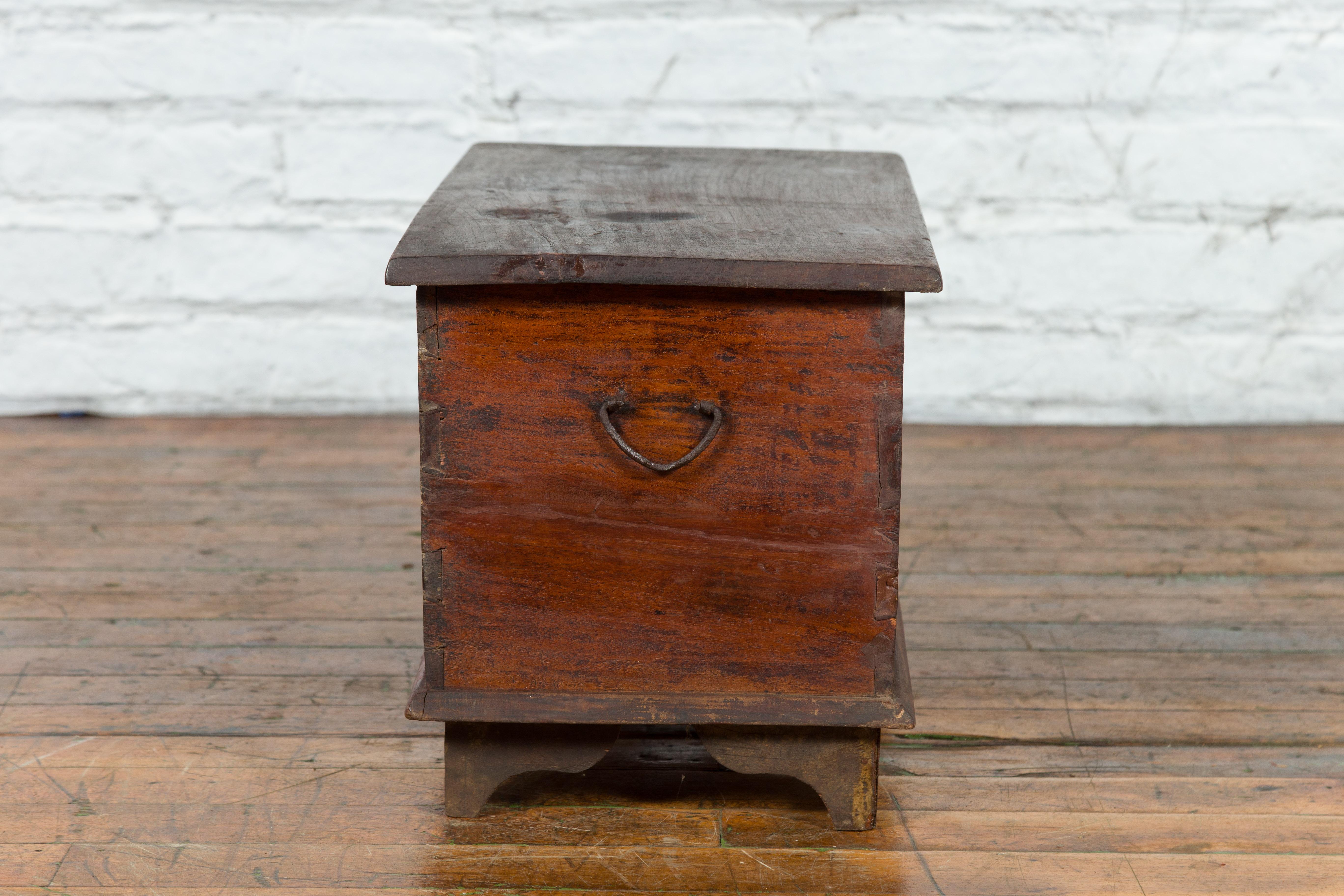 19th Century Indian Hand-Carved and Painted Trunk with Floral and Deer Motifs 11