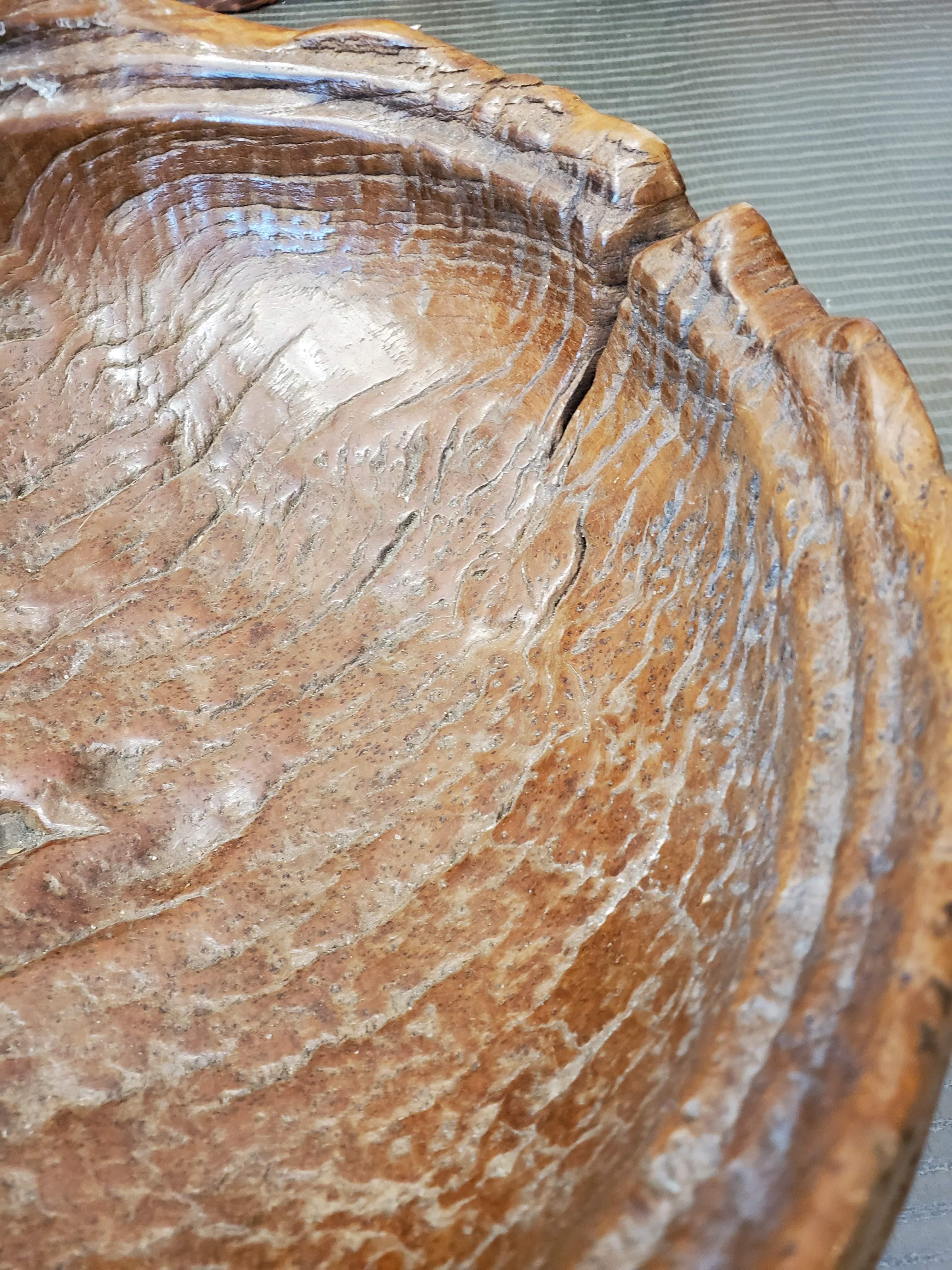 Organico moderno Ciotola in teak organico sbavato indonesiano del XIX secolo in vendita
