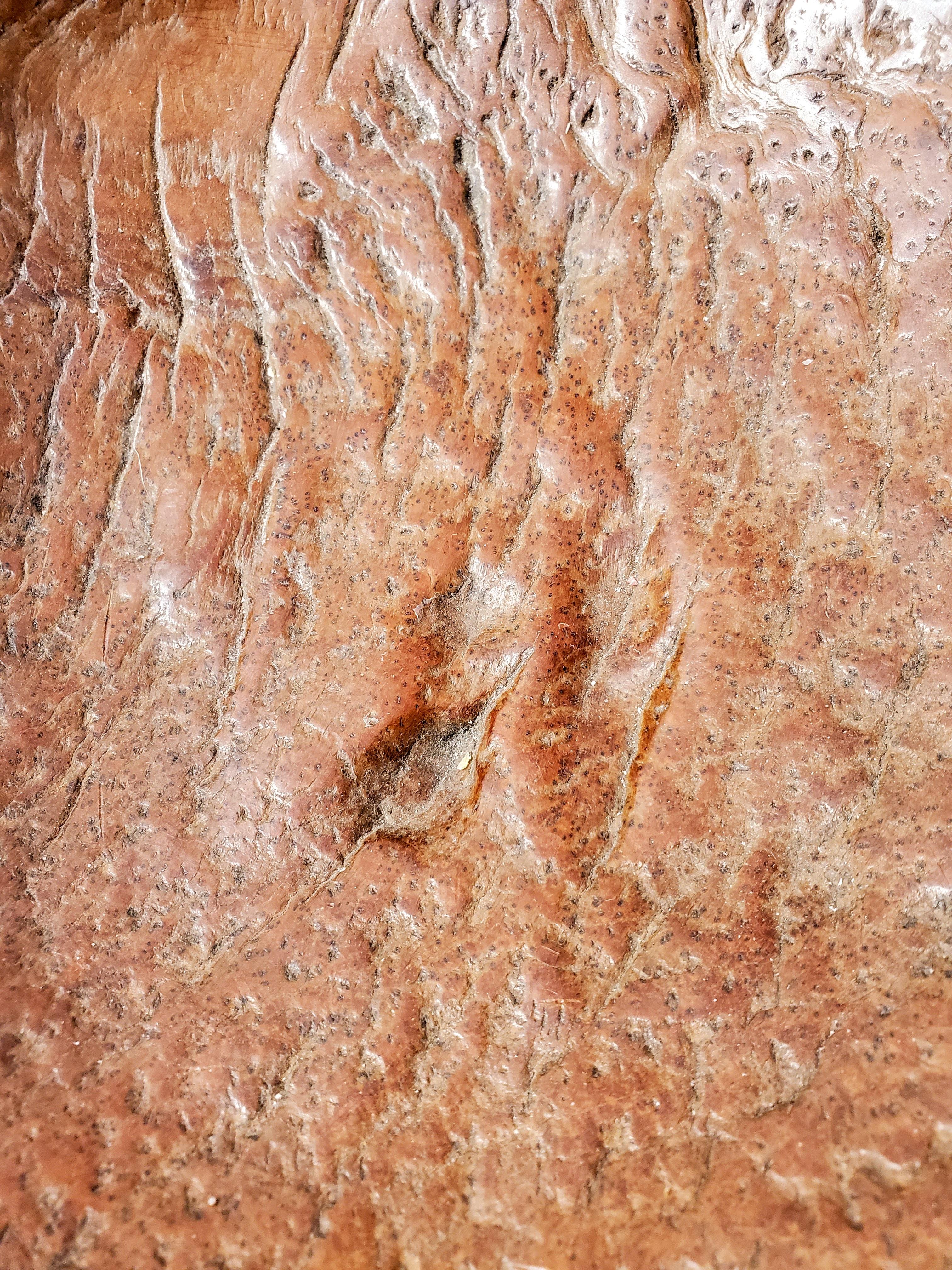 Indonesiano Ciotola in teak organico sbavato indonesiano del XIX secolo in vendita