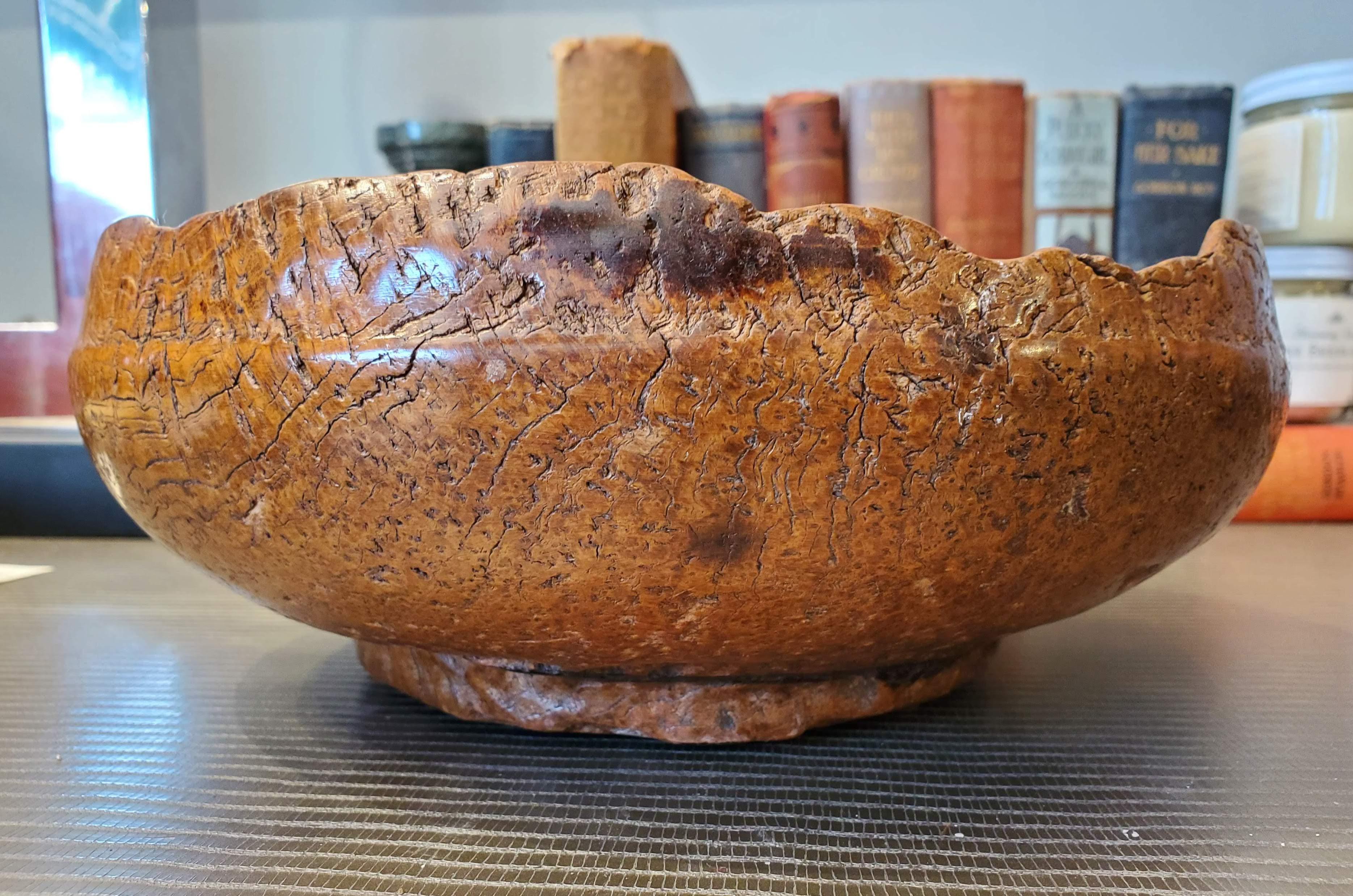 Ciotola in teak organico sbavato indonesiano del XIX secolo in vendita 1