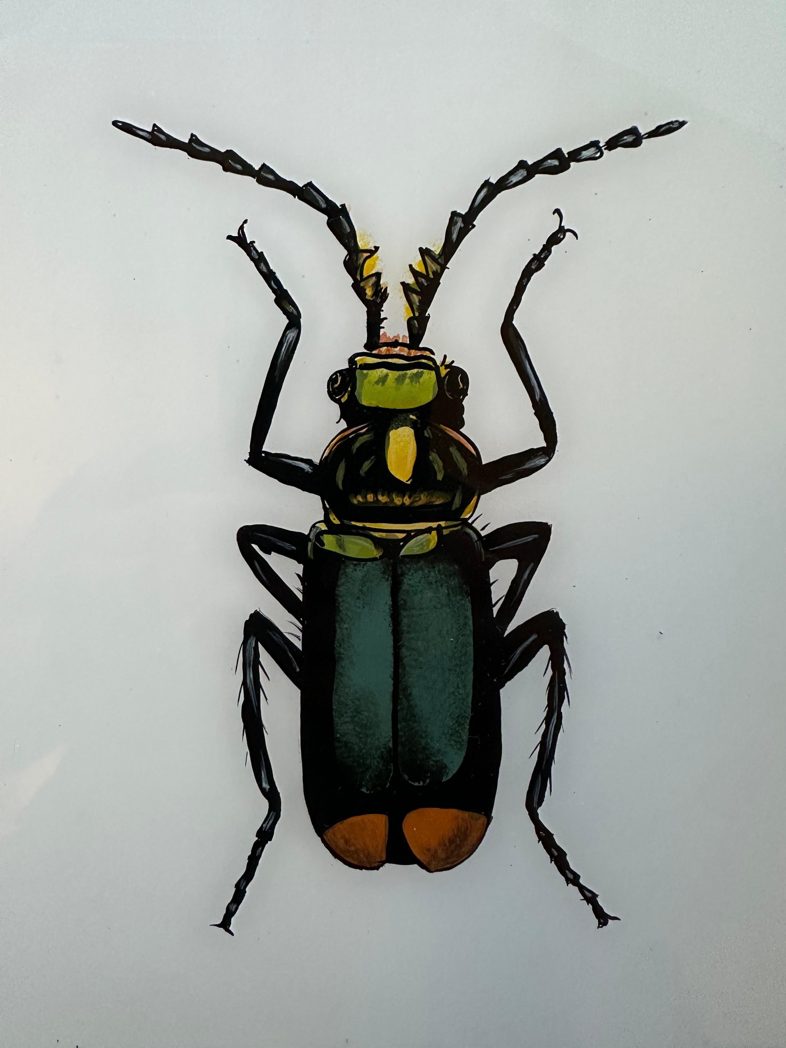 This 19th-century insect illustration showcases the intricate beauty and complexity of its subject with extraordinary detail. The artist’s precise rendering captures every nuance, from the delicate wing patterns to the fine textures of the body,
