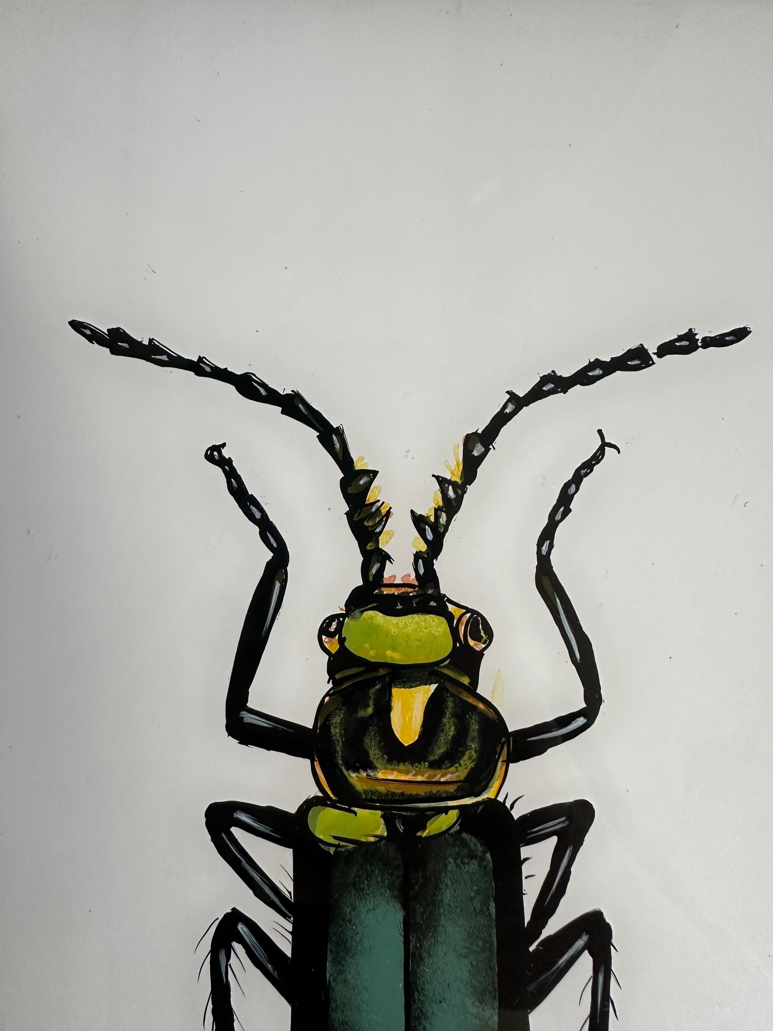 Cette illustration détaillée d'un insecte du XIXe siècle met en valeur la beauté et la complexité de son sujet avec une précision remarquable. Le pinceau fin et les couleurs vives de l'artiste donnent vie à l'insecte, mettant en évidence chaque