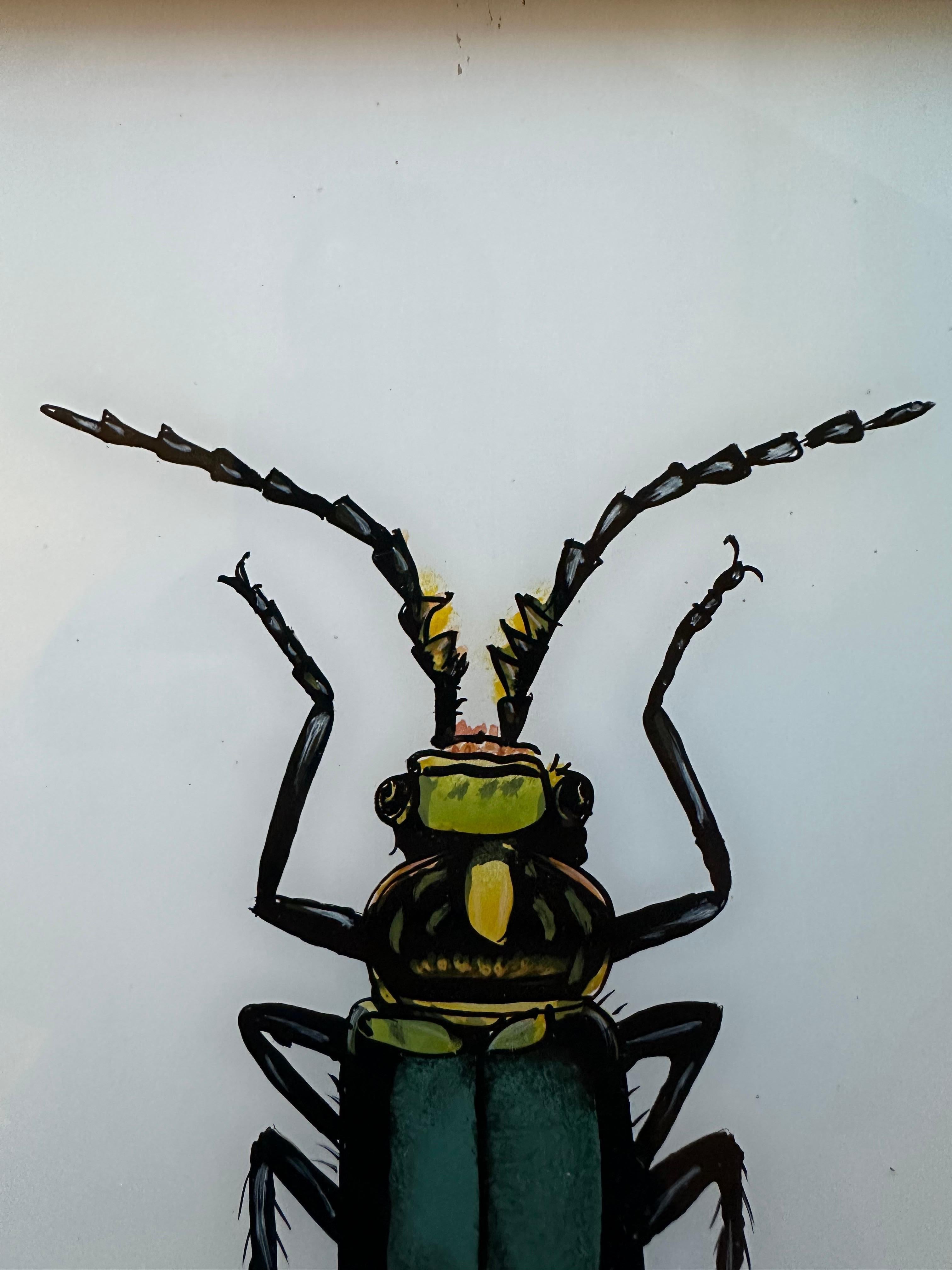 English 19th-Century Insect Illustration: Detailed Entomological Art For Sale