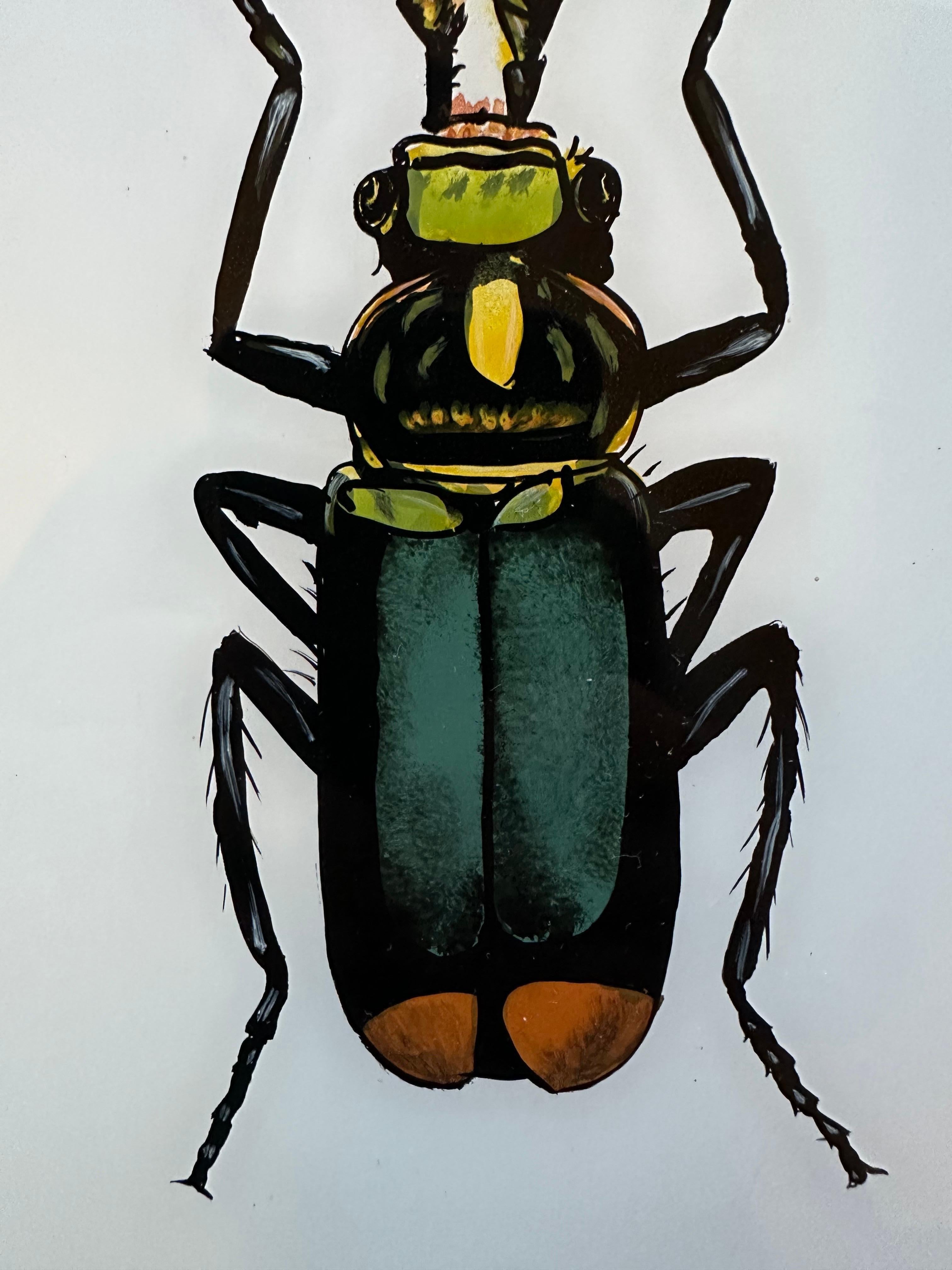Hand-Painted 19th-Century Insect Illustration: Detailed Entomological Art For Sale