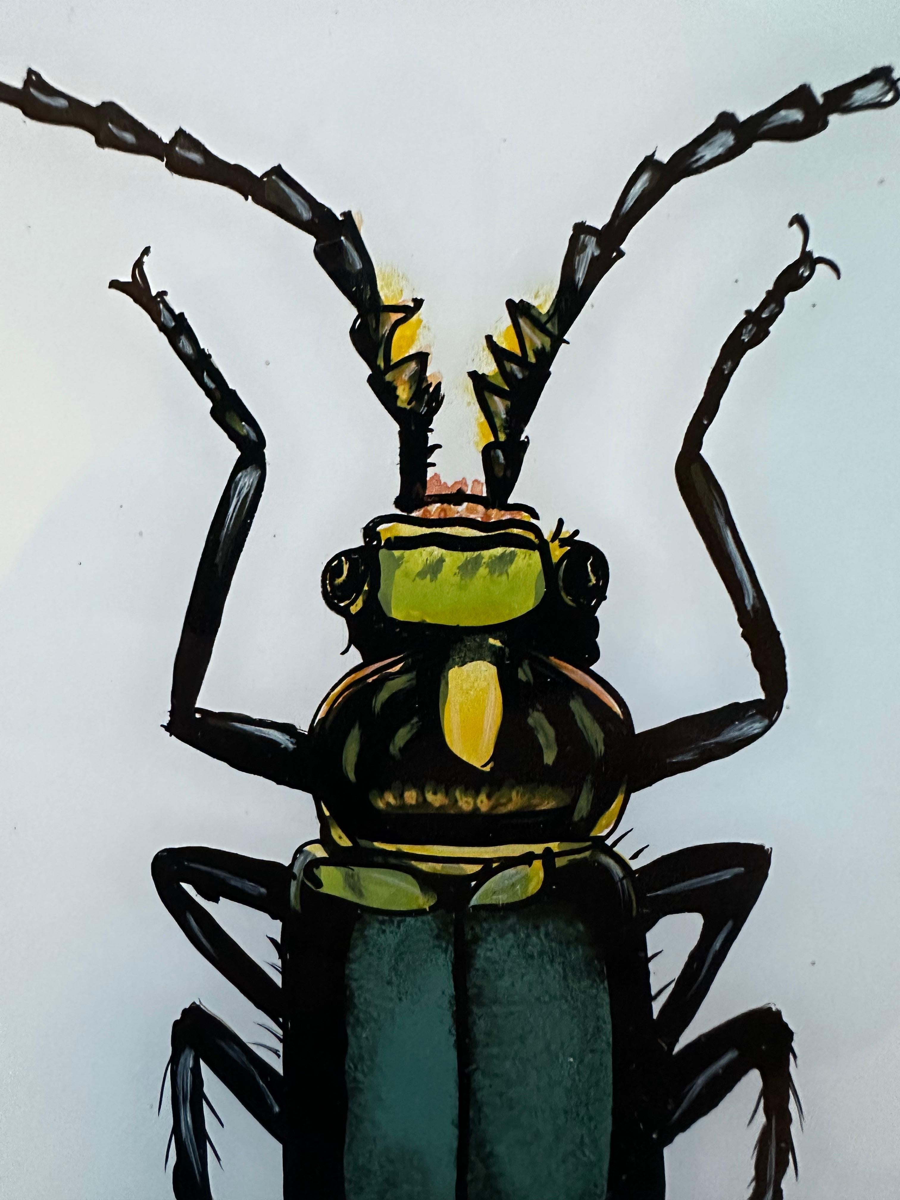 19th-Century Insect Illustration: Detailed Entomological Art In Good Condition For Sale In Southall, GB