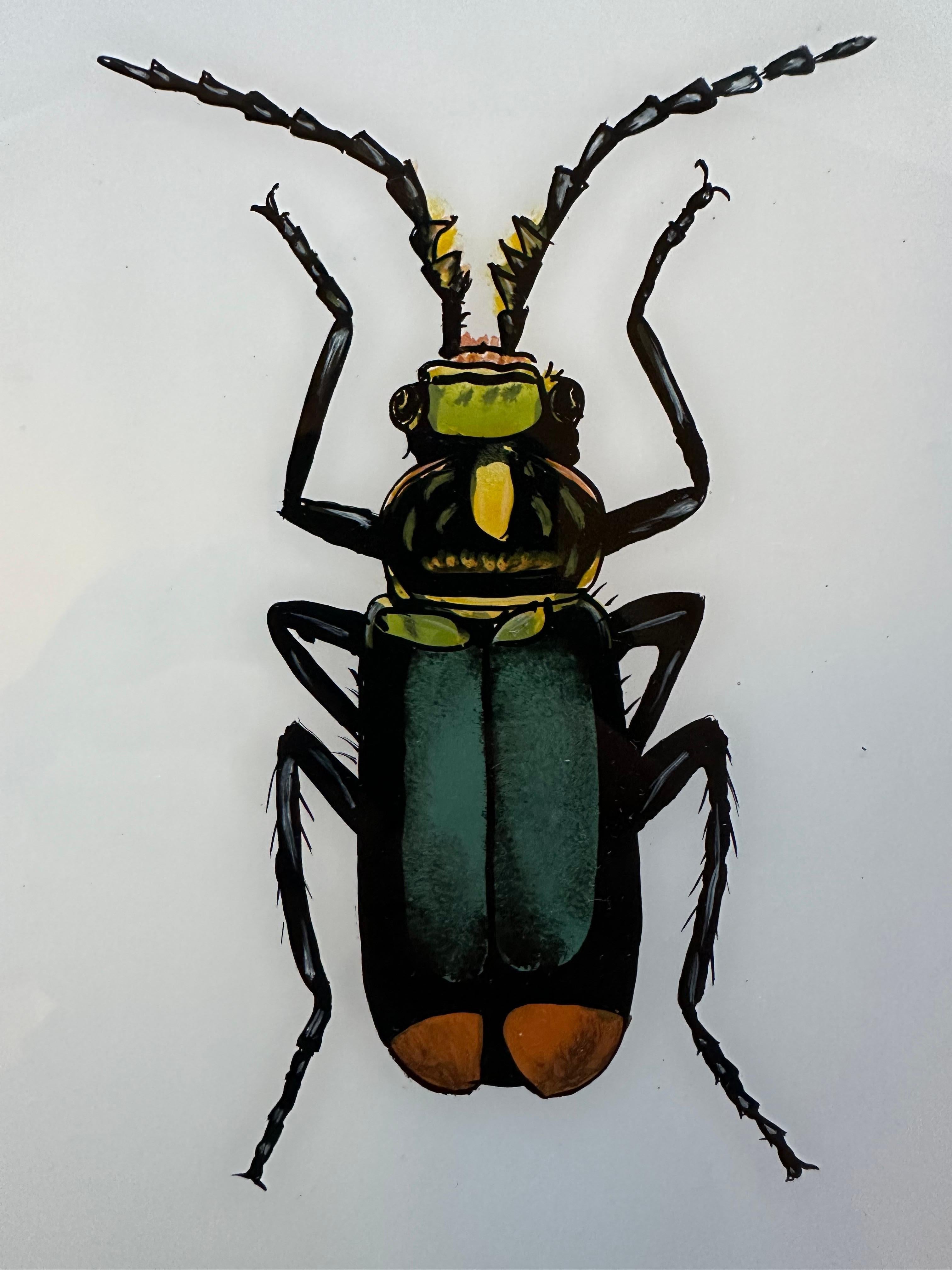 19th Century 19th-Century Insect Illustration: Detailed Entomological Art For Sale