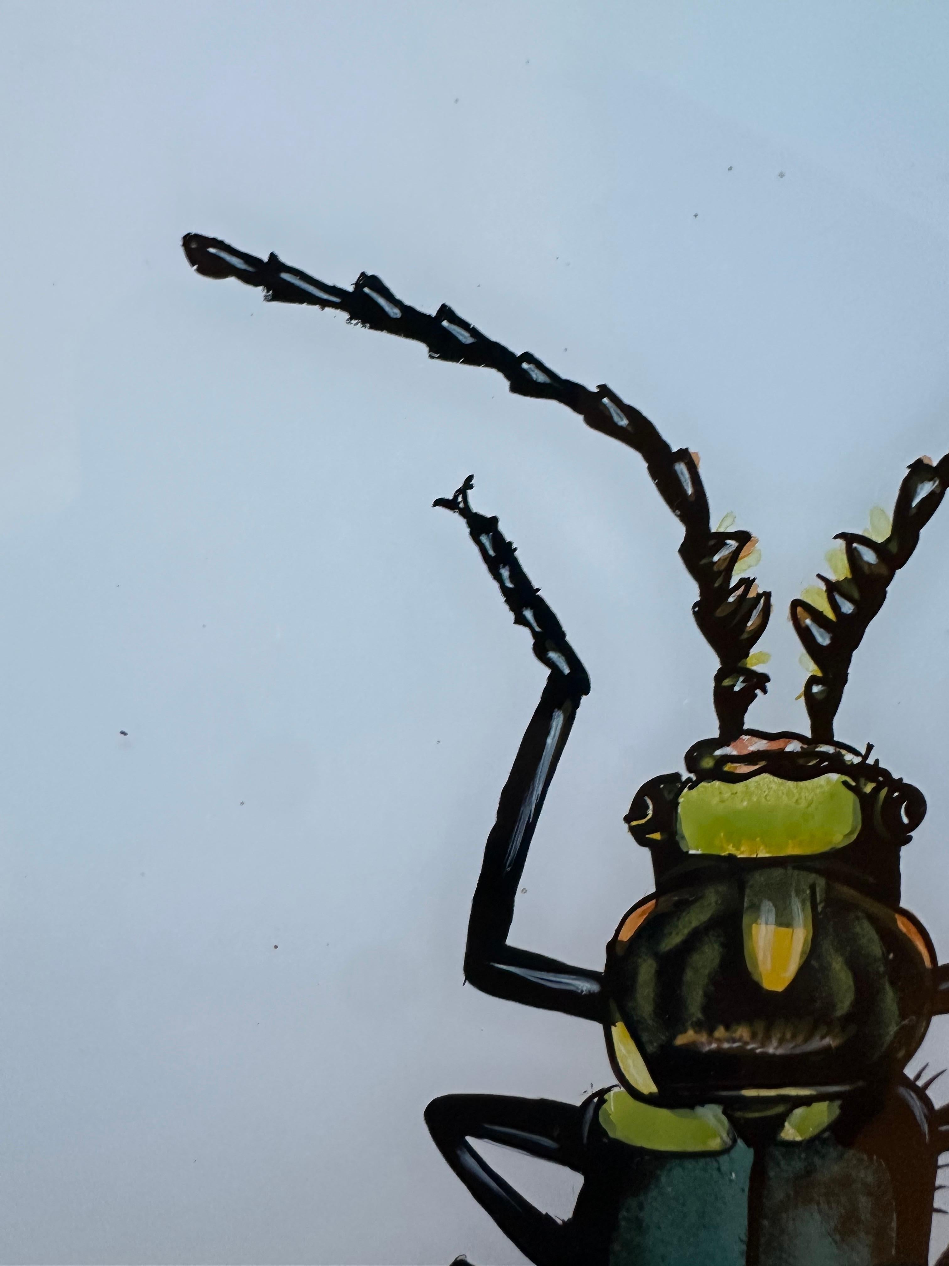 19th-Century Insect Portrait: Detailed Natural History Illustration In Good Condition For Sale In Southall, GB