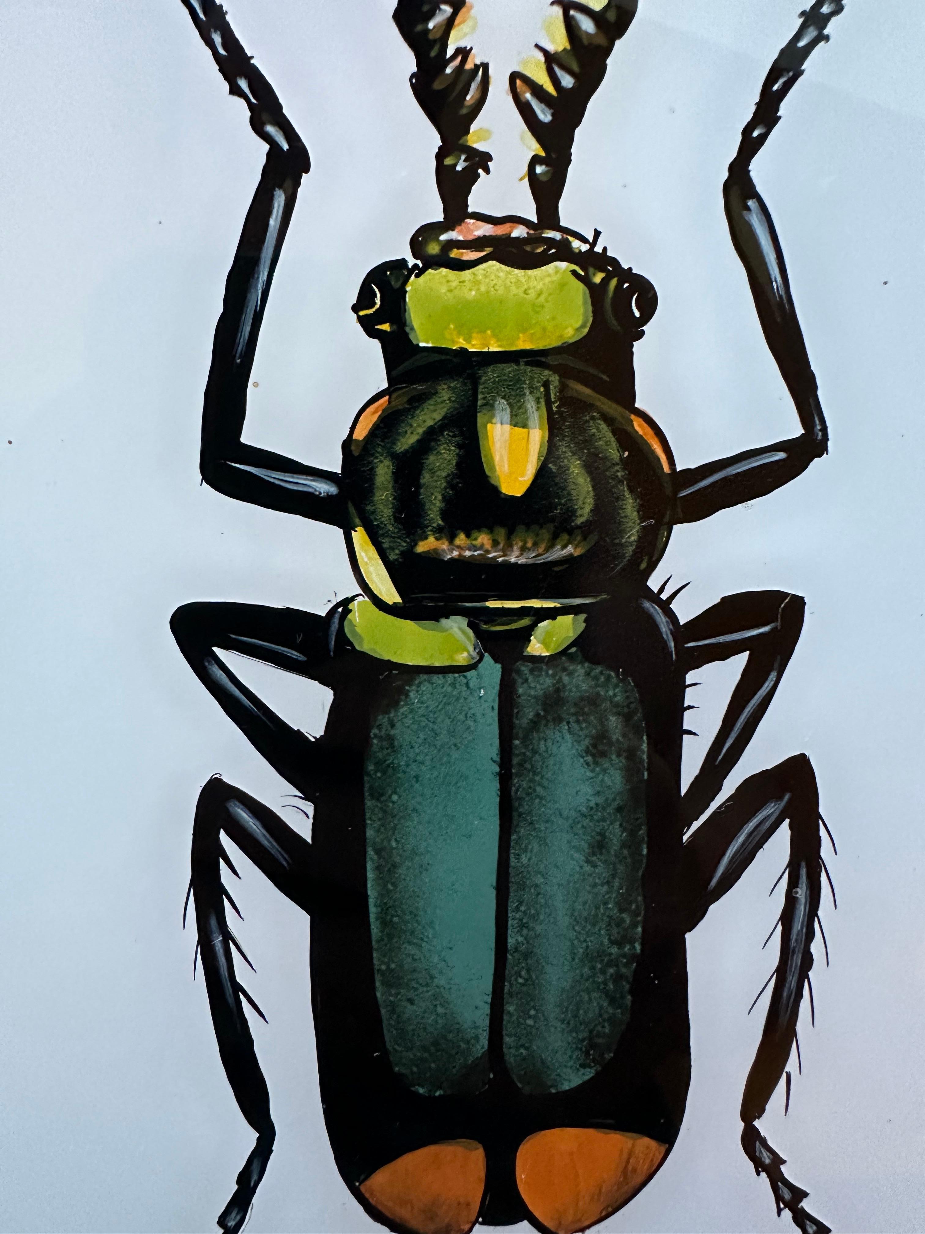 19th Century 19th-Century Insect Portrait: Detailed Natural History Illustration For Sale