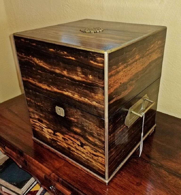 19th Century Irish Coromandel Wood Campaign Decanter Box with Crystal