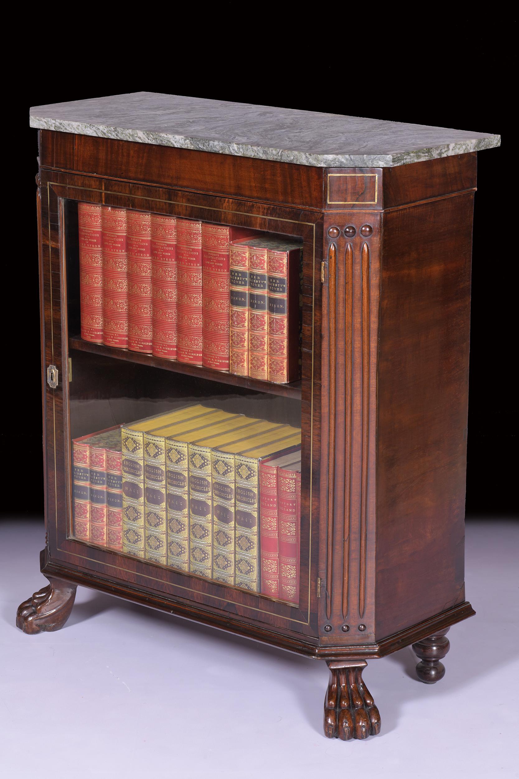 19th Century Irish Regency Side Cabinet Bookcase by Williams & Gibton of Dublin For Sale 4