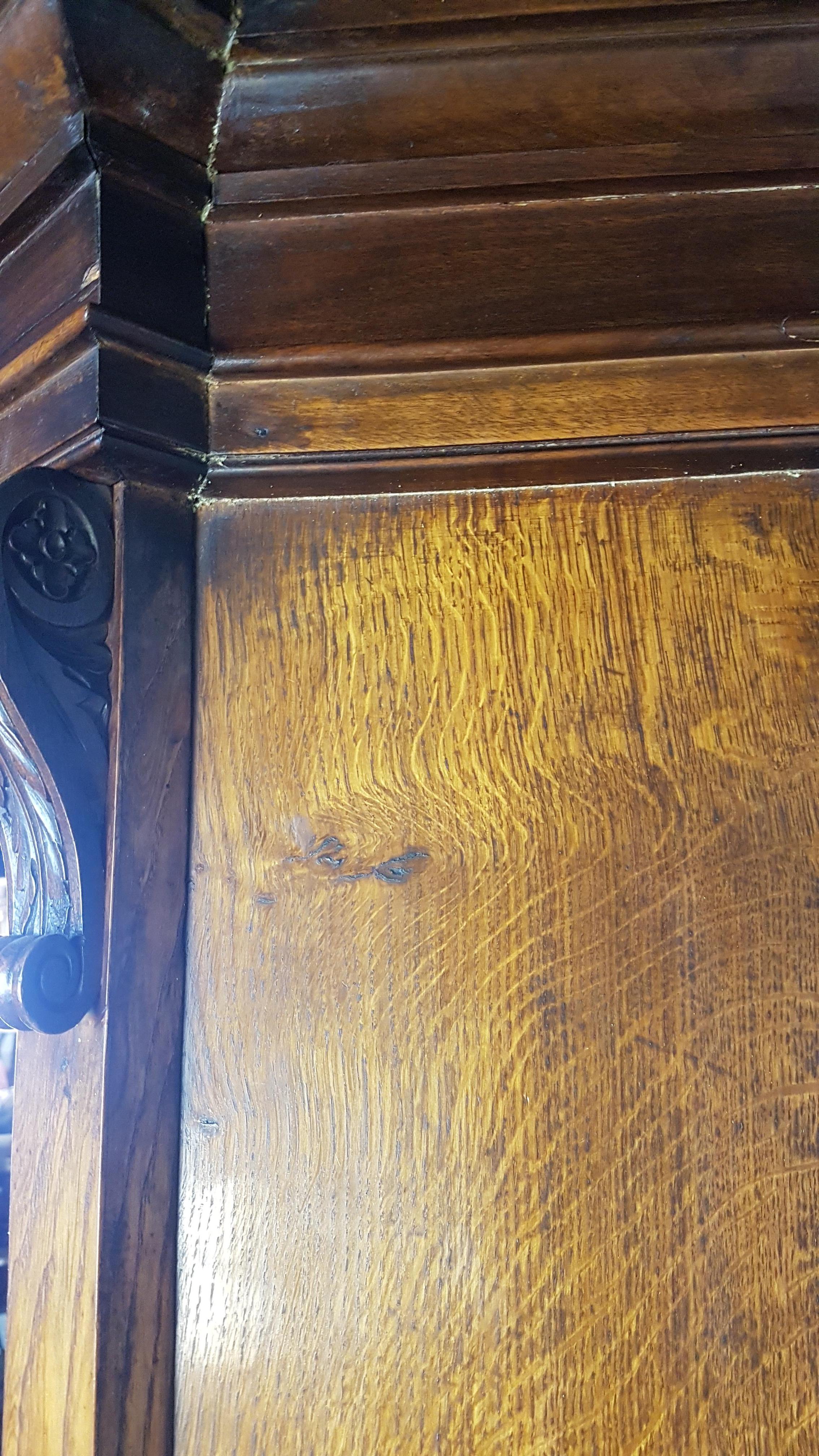 19th Century Irish Walnut Bookcase Cabinet For Sale 5