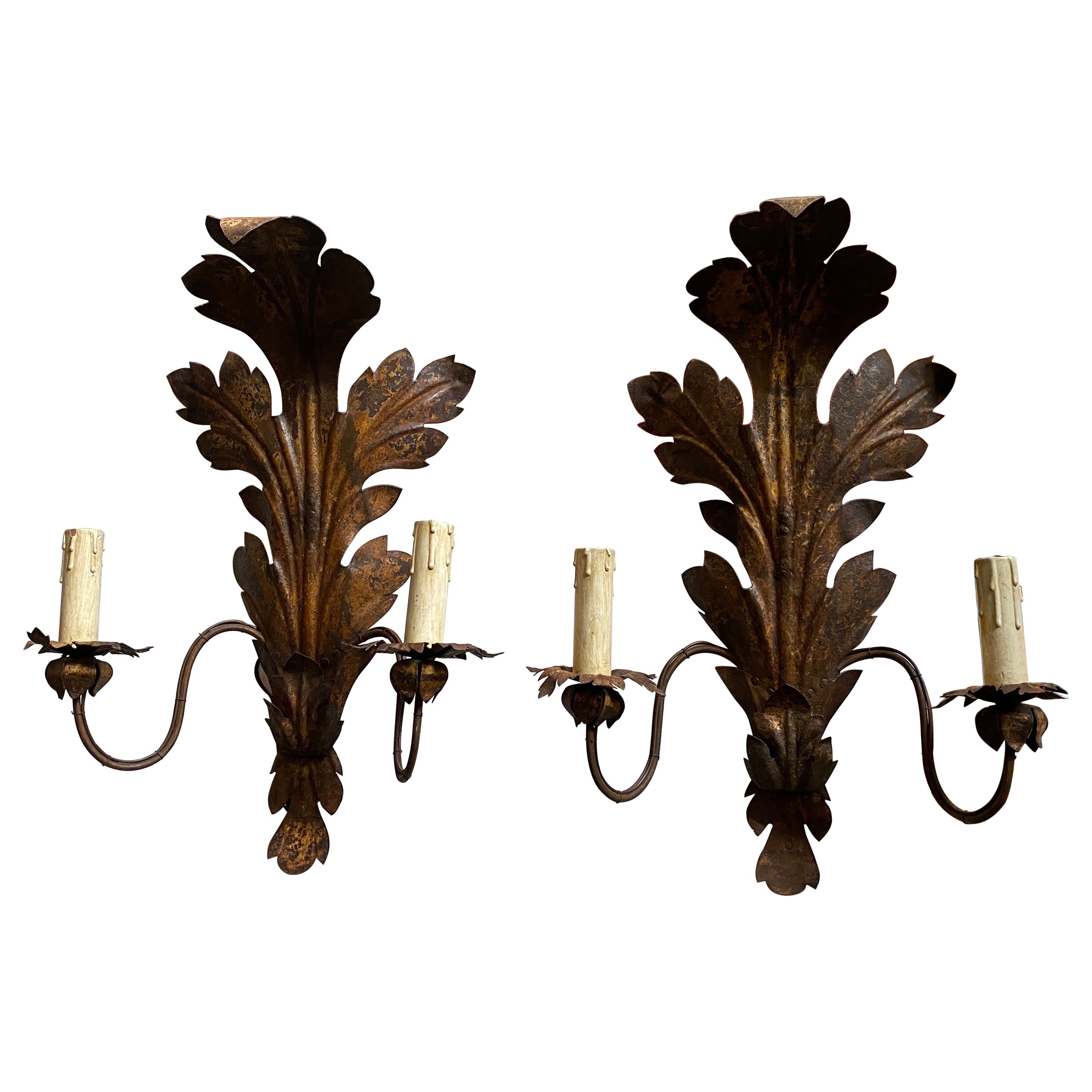 19th Century Iron Sicilian Electrified Candle Sconces