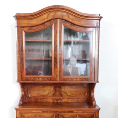 19th Century Italian Antique Cupboard in Walnut Briar