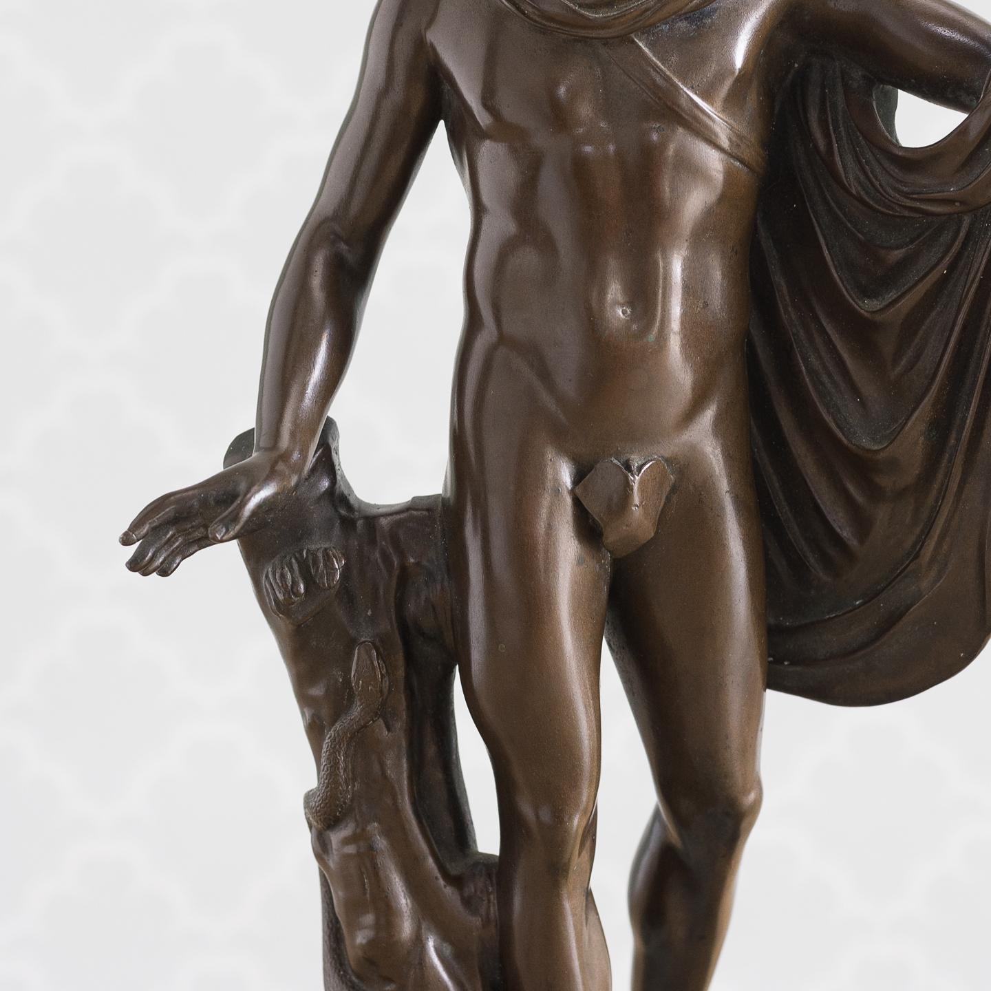 19th Century Italian Bronze of ‘The Apollo Belvedere’ 3