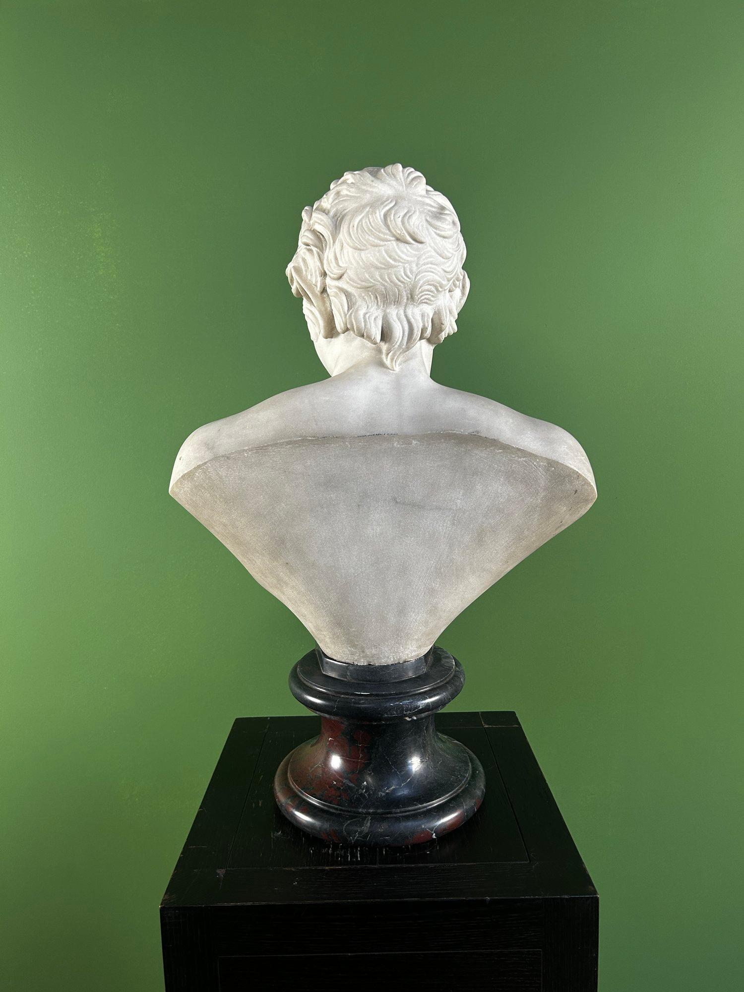 19th Century Italian Carrara Marble Bust of the Albani Faun For Sale 10