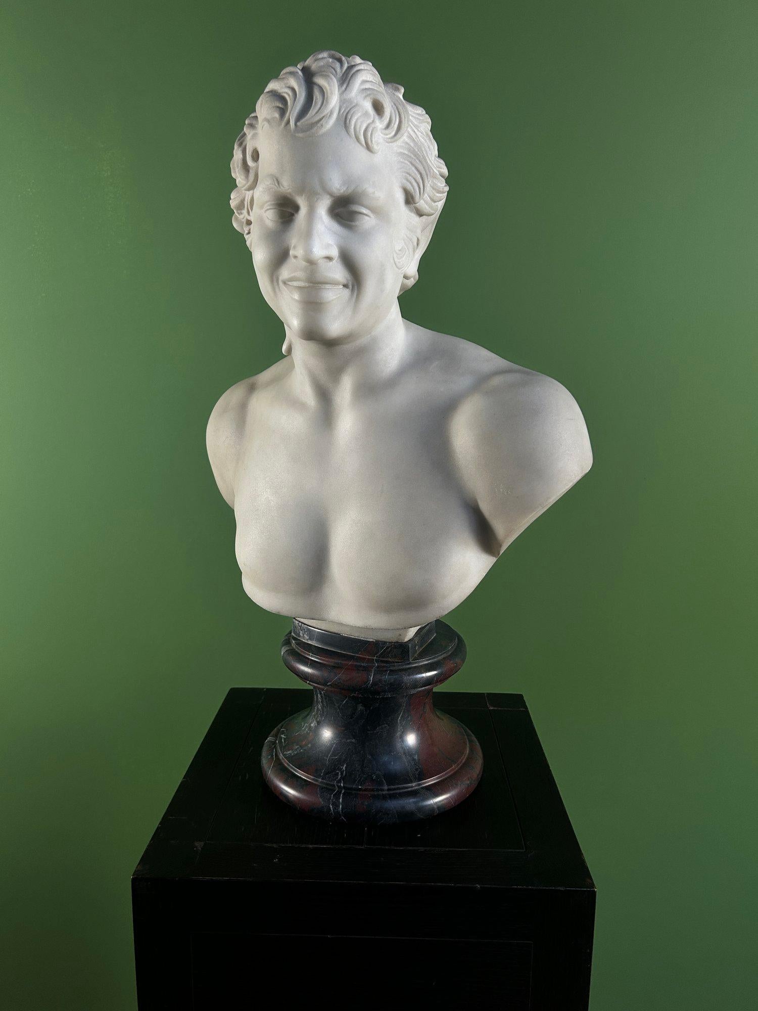 19th Century Italian Carrara Marble Bust of the Albani Faun For Sale 4