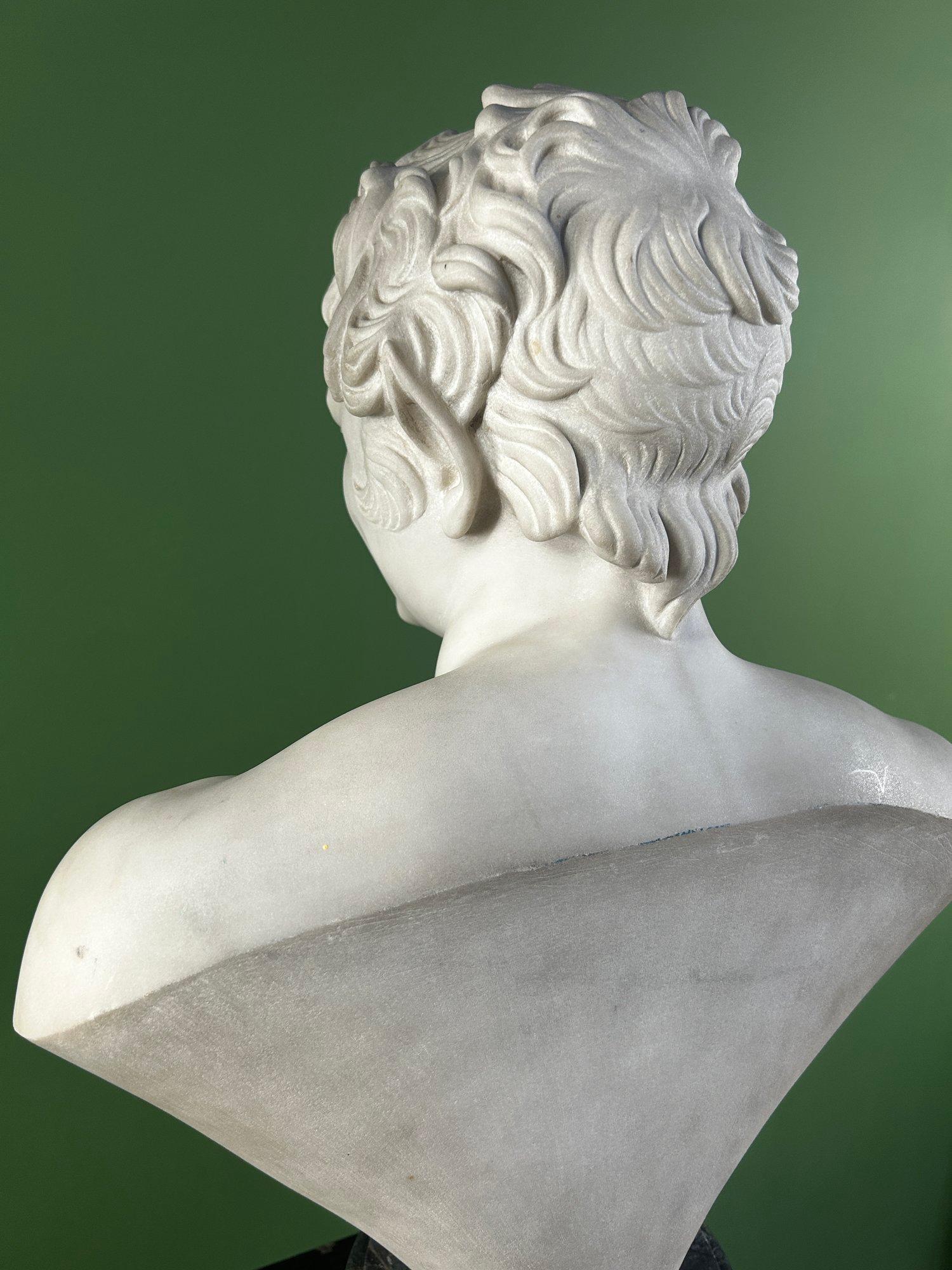19th Century Italian Carrara Marble Bust of the Albani Faun For Sale 8