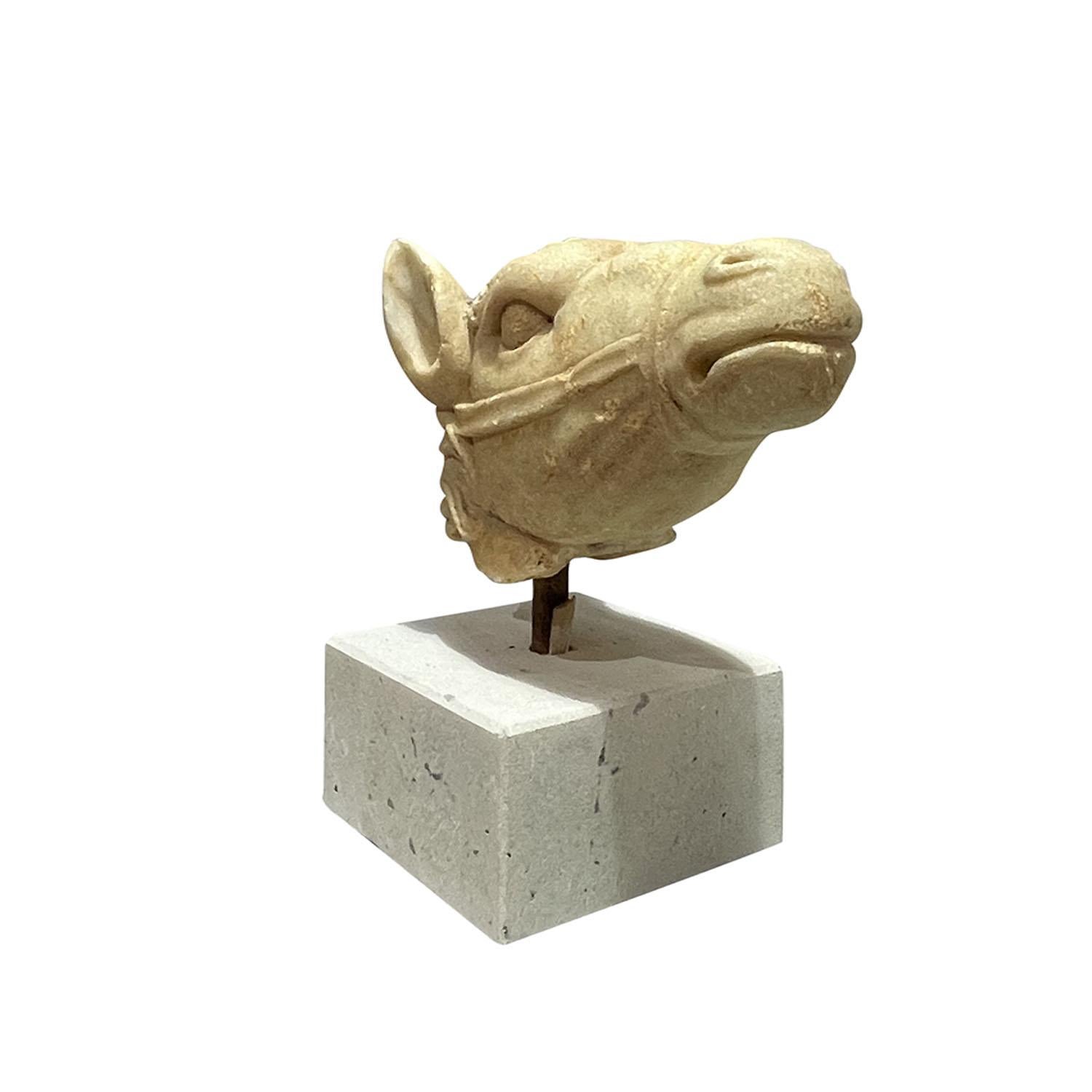 19. Jahrhundert Italienischer Carrara Marmor Pferdekopf - Antike Dekoration Skulptur im Zustand „Gut“ im Angebot in West Palm Beach, FL