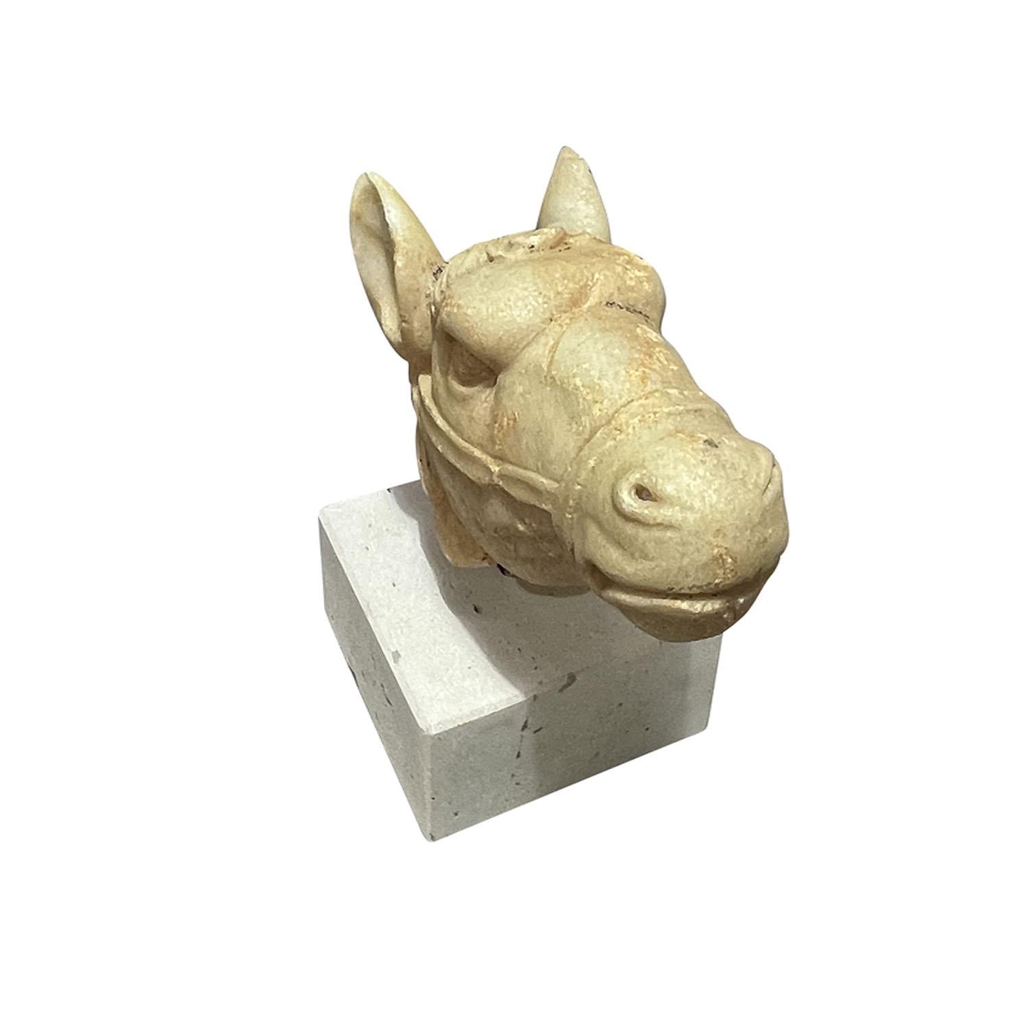 19. Jahrhundert Italienischer Carrara Marmor Pferdekopf - Antike Dekoration Skulptur (Kalkstein) im Angebot
