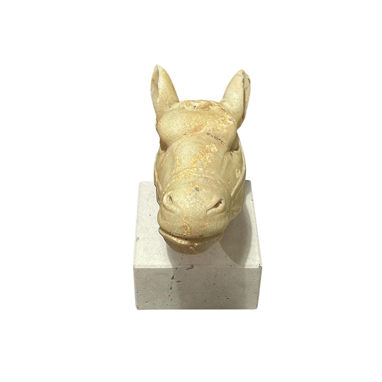 19. Jahrhundert Italienischer Carrara Marmor Pferdekopf - Antike Dekoration Skulptur im Angebot 1
