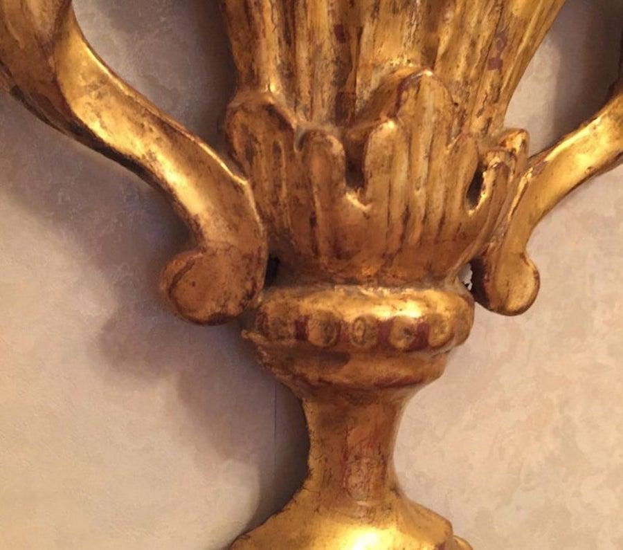 Gold Leaf 19th Century Italian Carved Gilt Decorative Palmetta Fan Wall Frieze For Sale