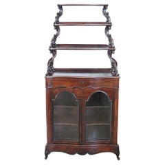 19th Century Italian Charles X Antique Vitrine with Etagere