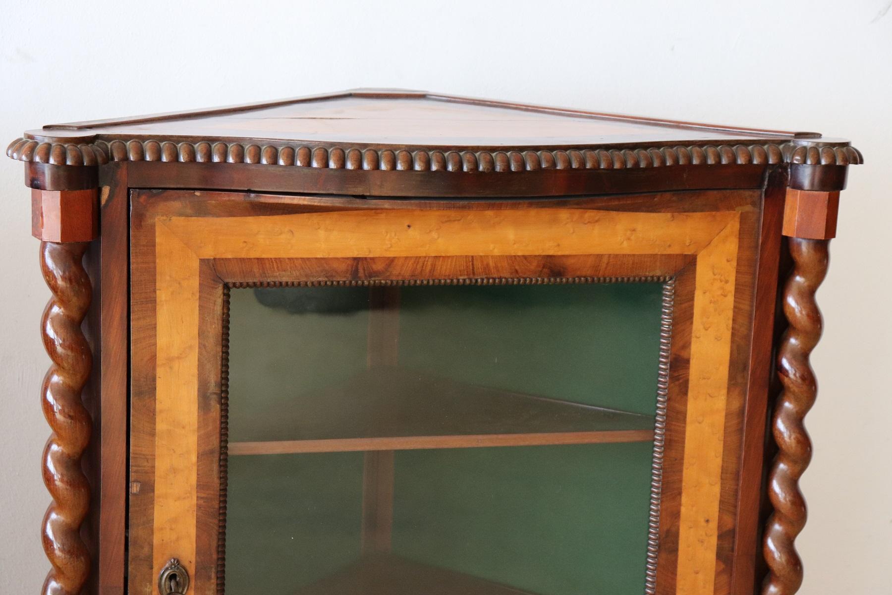 Early 19th Century 19th Century Italian Charles X Mahogany Pair of Corner Cupboard Corner Cabinet For Sale