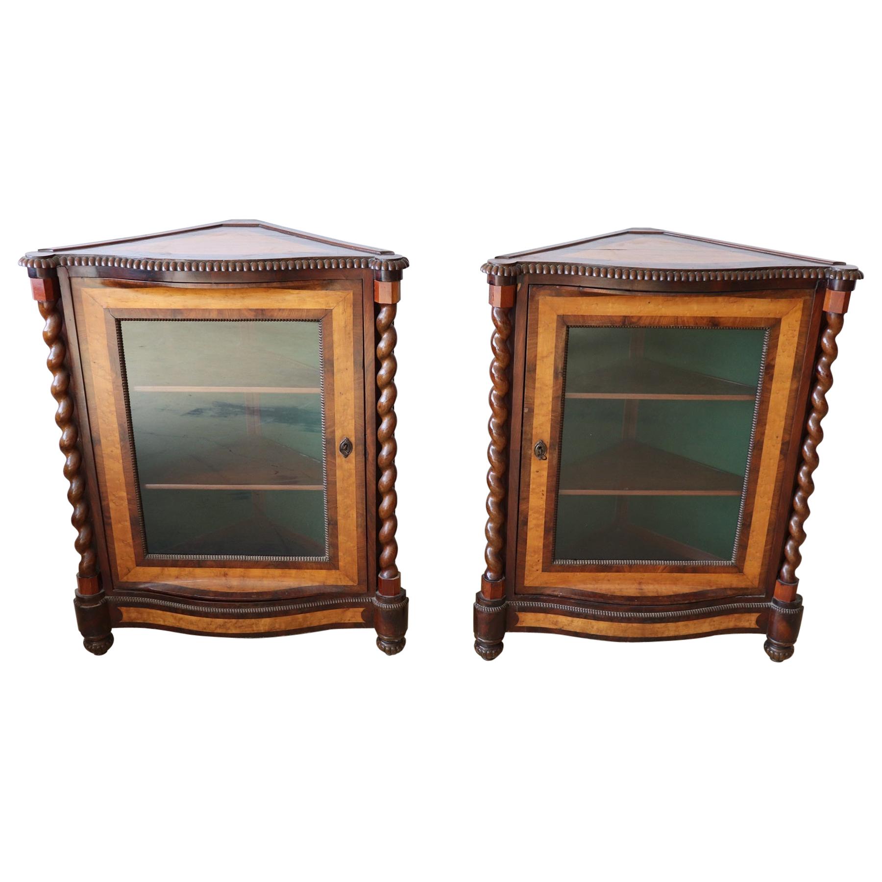 19th Century Italian Charles X Mahogany Pair of Corner Cupboard Corner Cabinet For Sale
