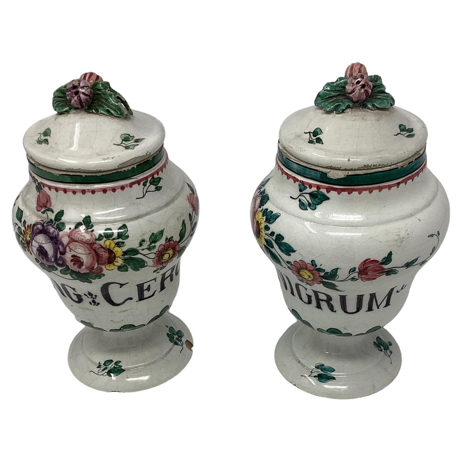 Pots d'apothicaire italiens en faïence décorés de fleurs du 19ème siècle