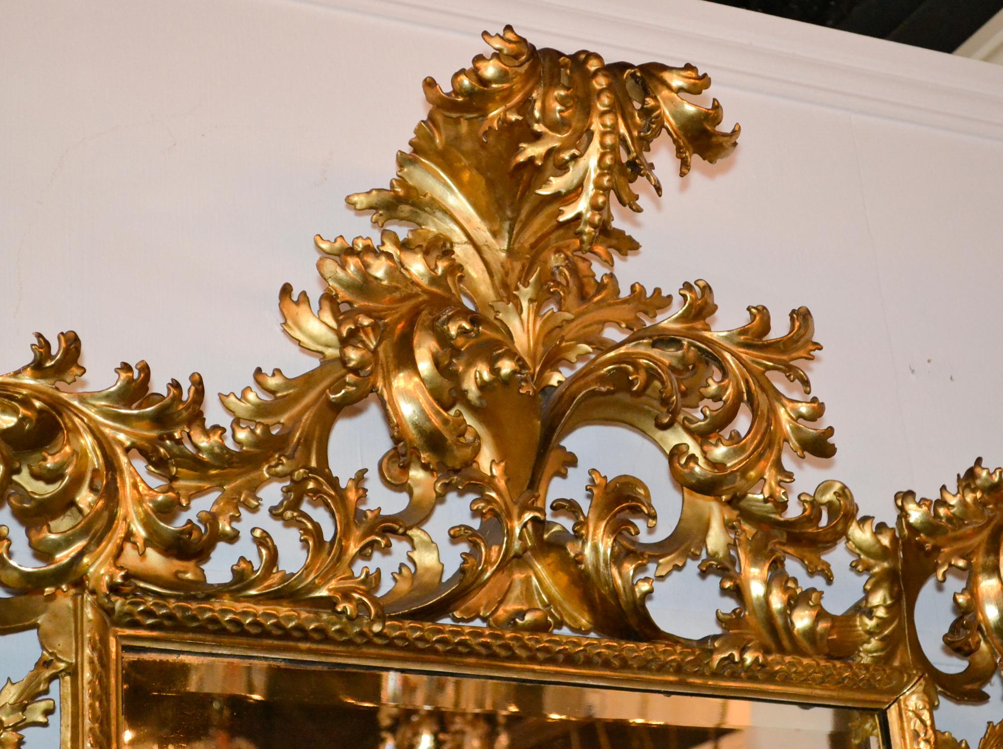 Fabulous 19th century Italian Florentine carved wood and water gilt gold mirror.